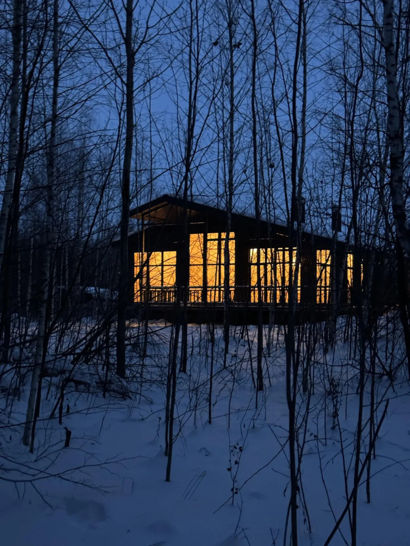 ШеЛЕСт леса