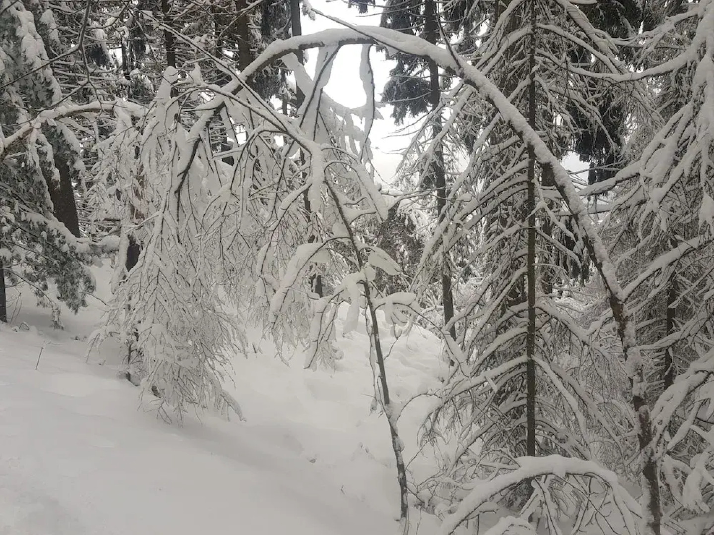 Gasthof Alte Schmiede Lückendorf
