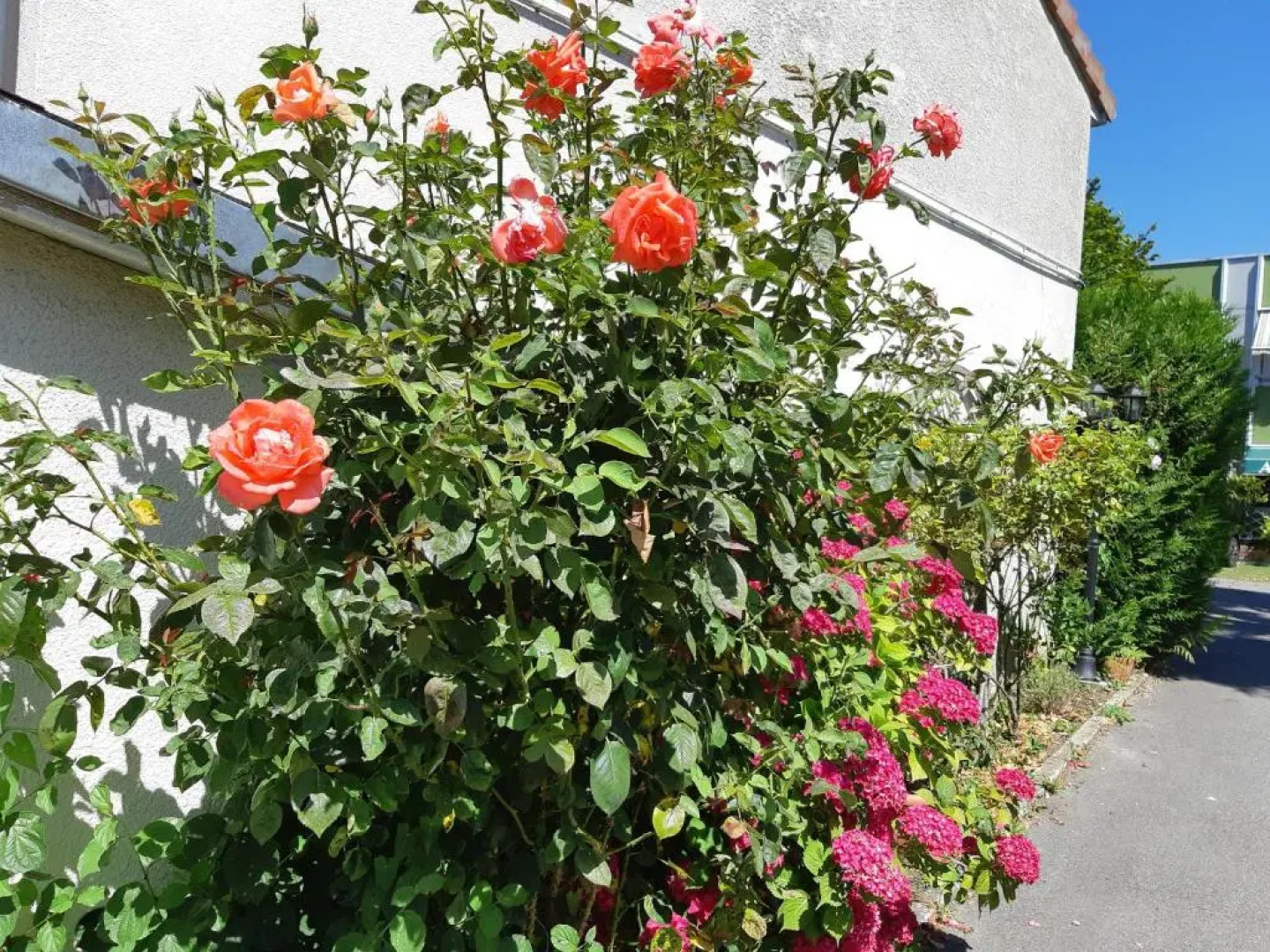 HOTEL AEROTEL l’étape du silence