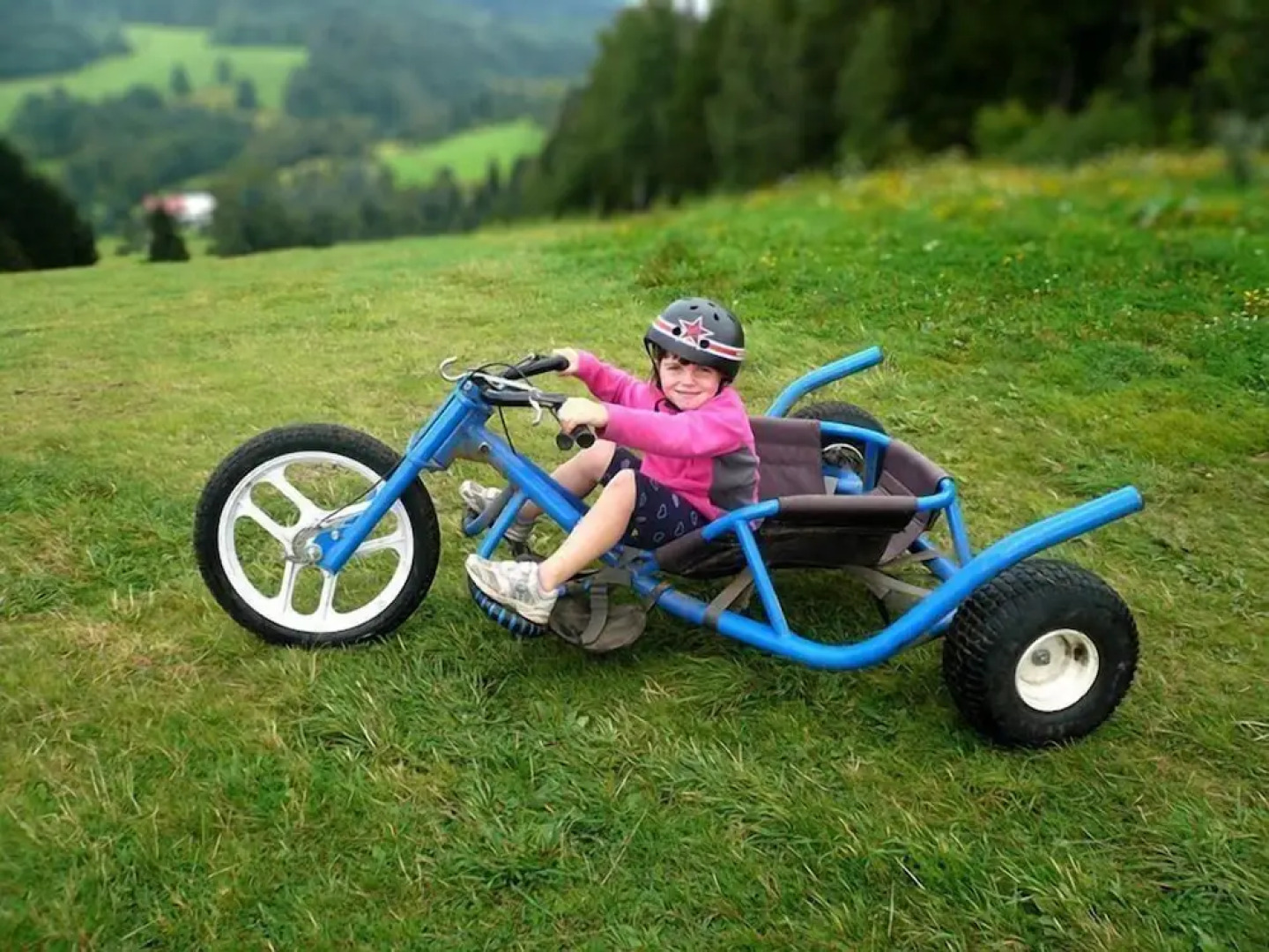 ProFamily TOP Benecko