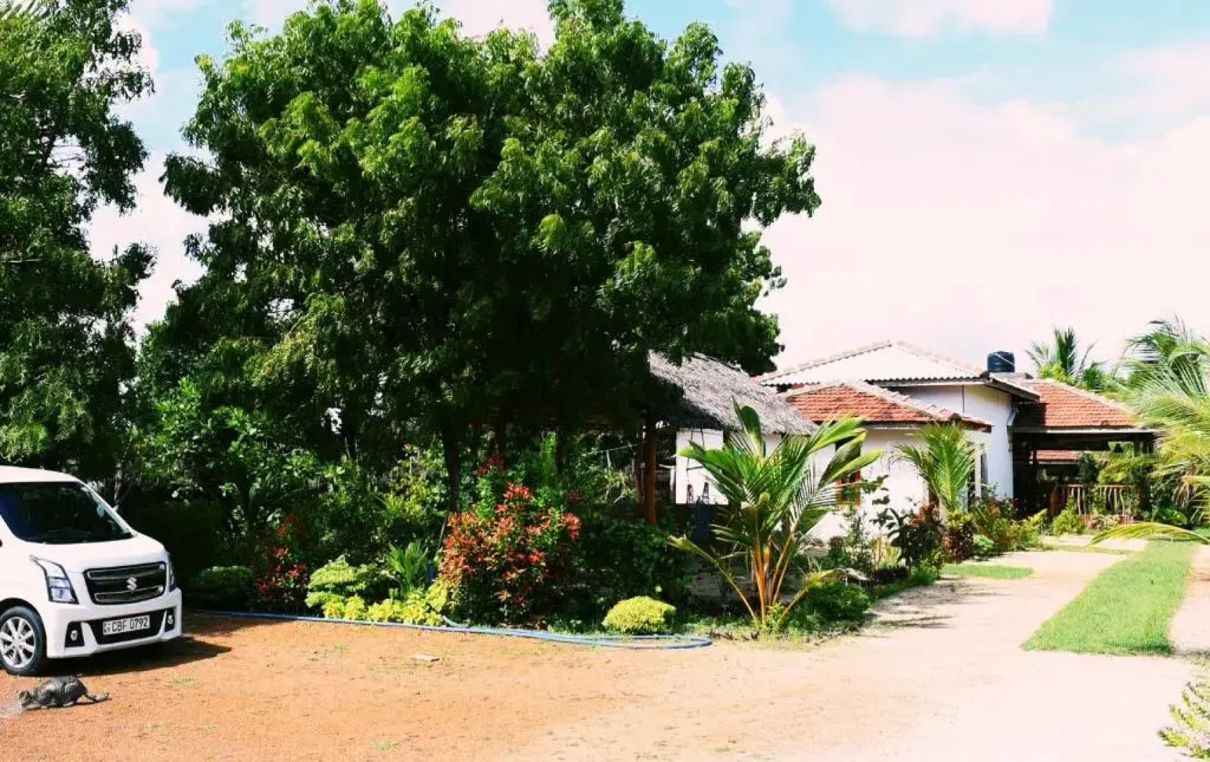 Prime Surfers Bungalow