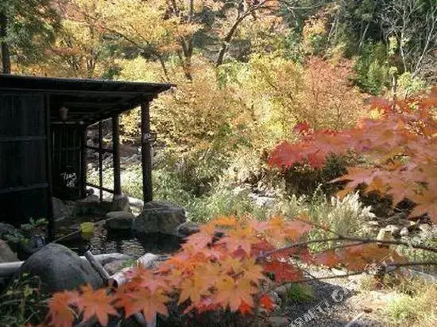 Hotel Daikogen
