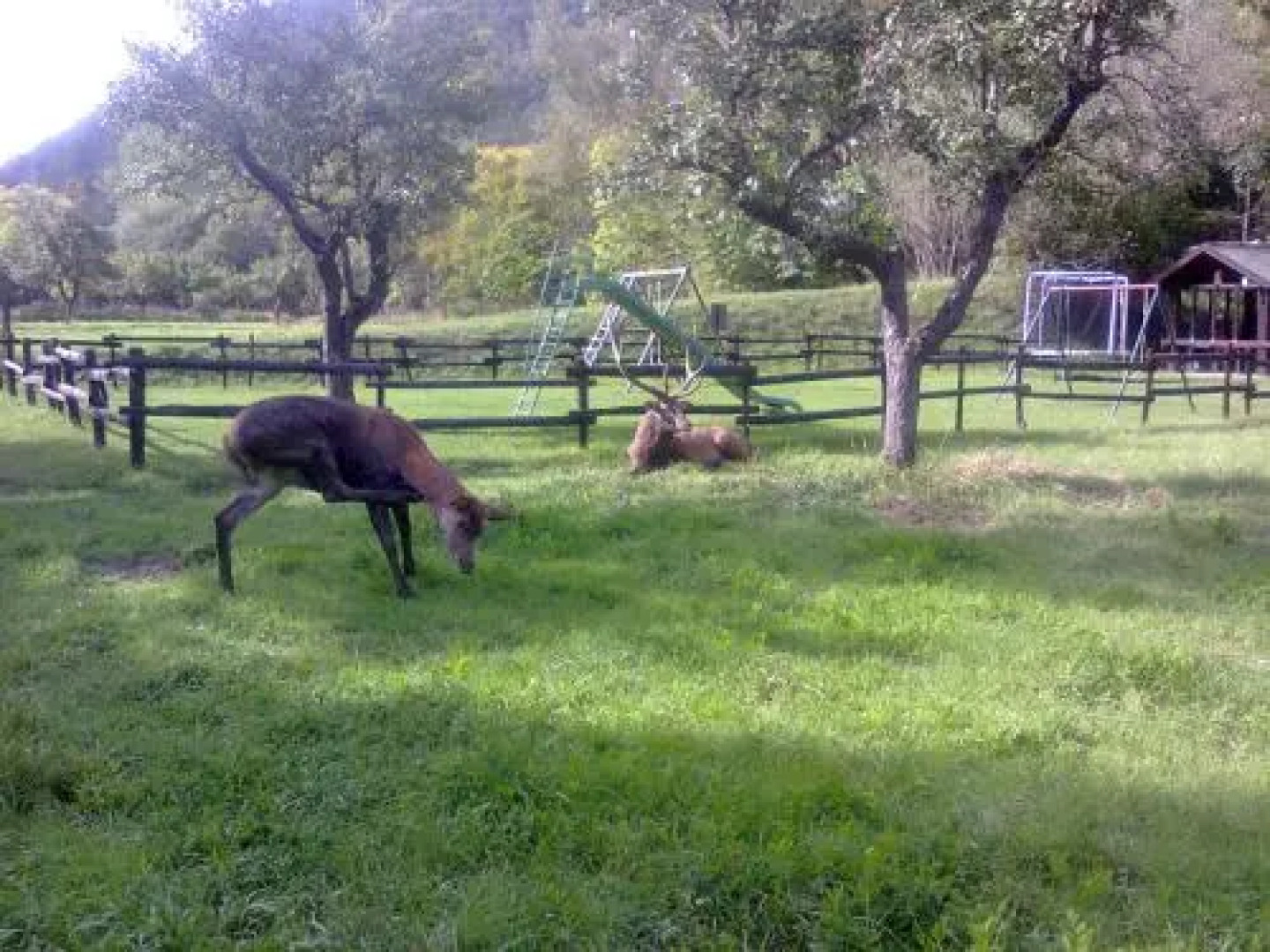 Hotel Il Vecchio Pescatore