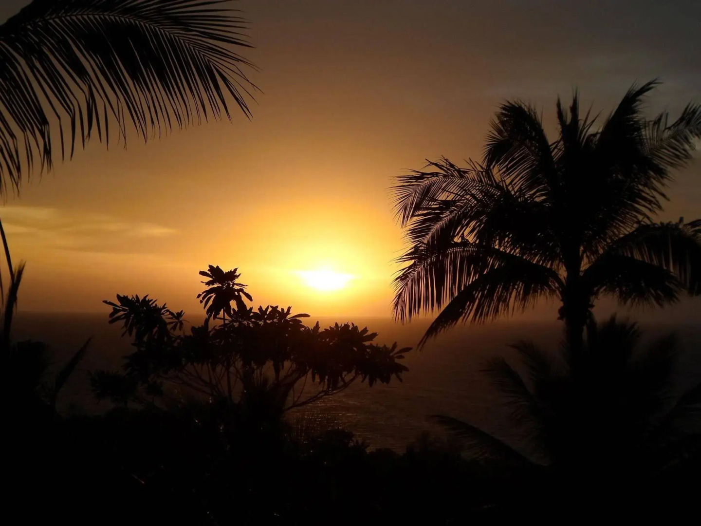 Koh Tao Star Villa
