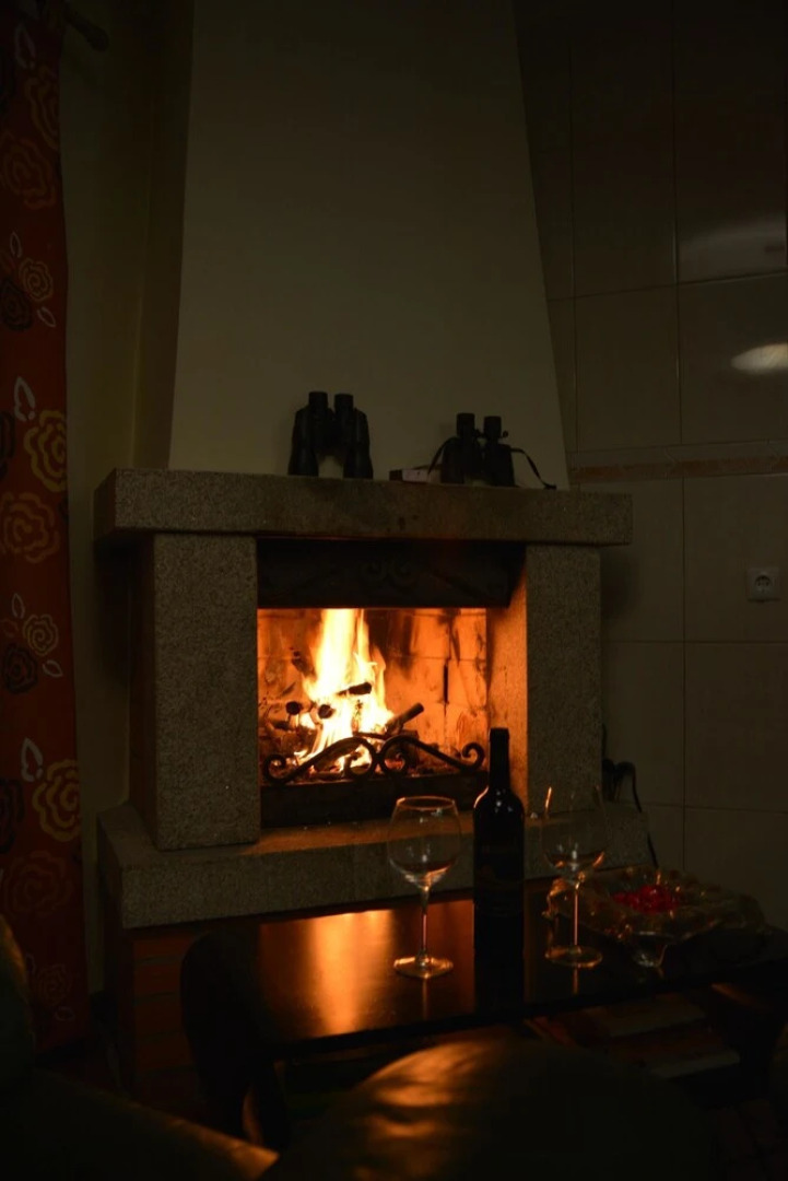 House With 2 Bedrooms in Vila Nova de Famalicão, With Wonderful Lake V