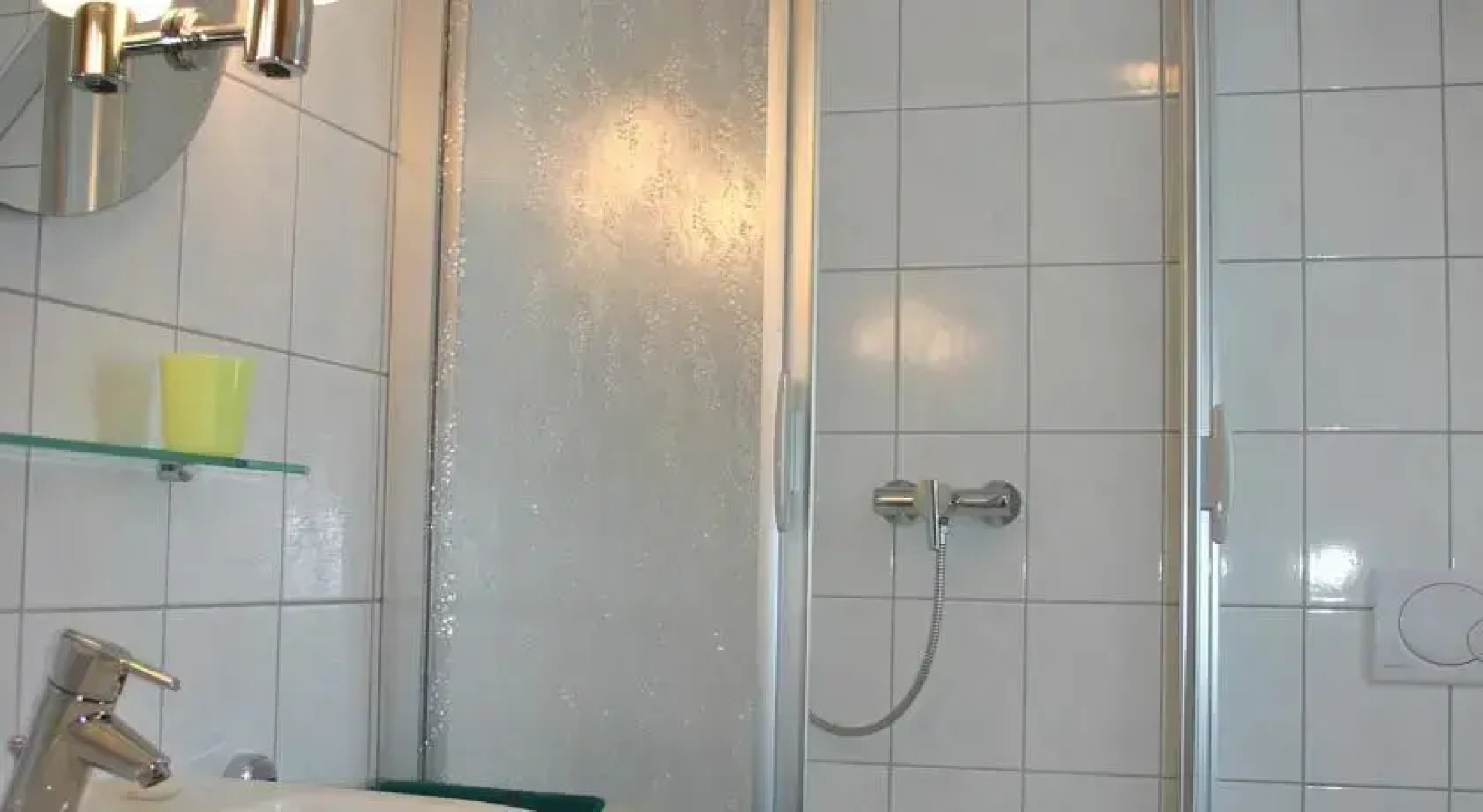 Hotel Zum grünen Baum