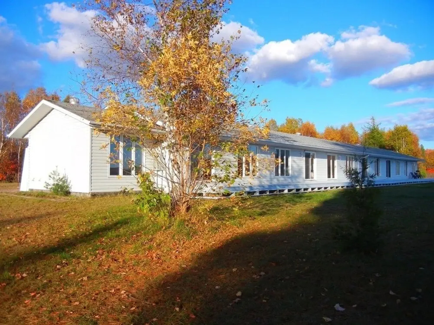 The Shores of Deer Lake