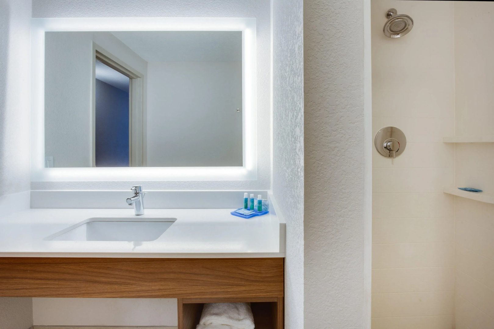 Holiday Inn Express Hotel & Suites Tampa-Fairgrounds-Casino by IHG