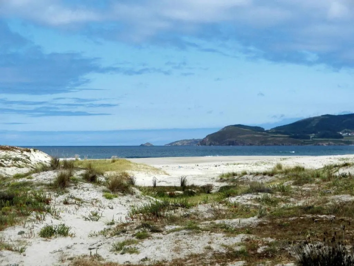 Apartamentos Monica °3