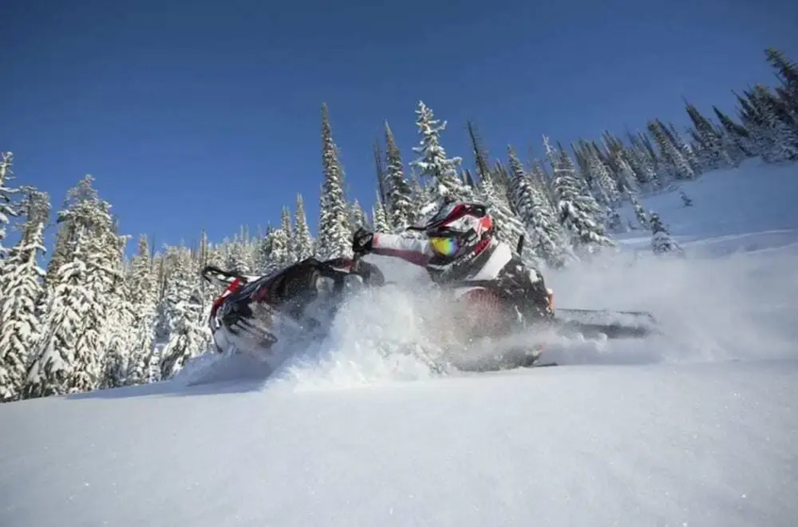 The Aspen Moose Vacation Cabin