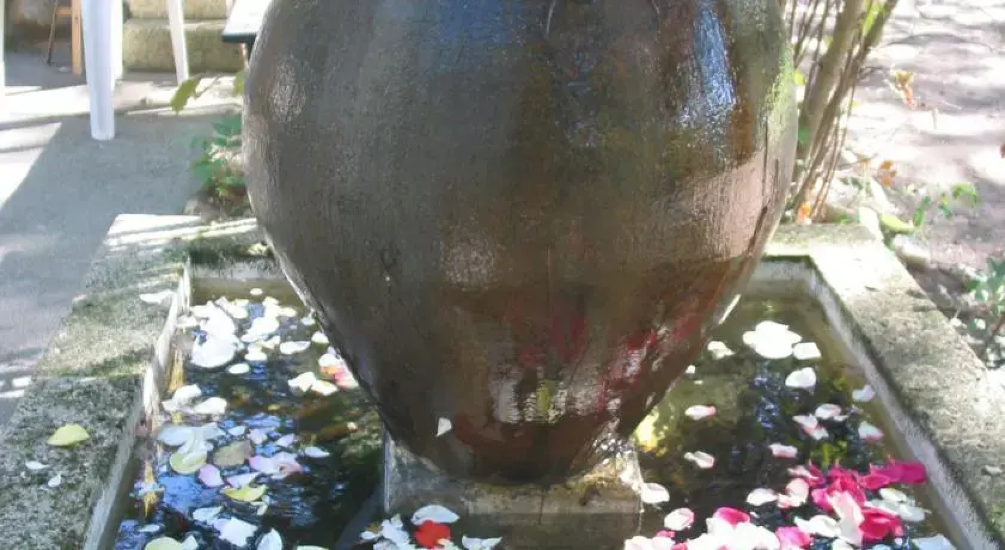 Yourtes la Terre des Lauriers