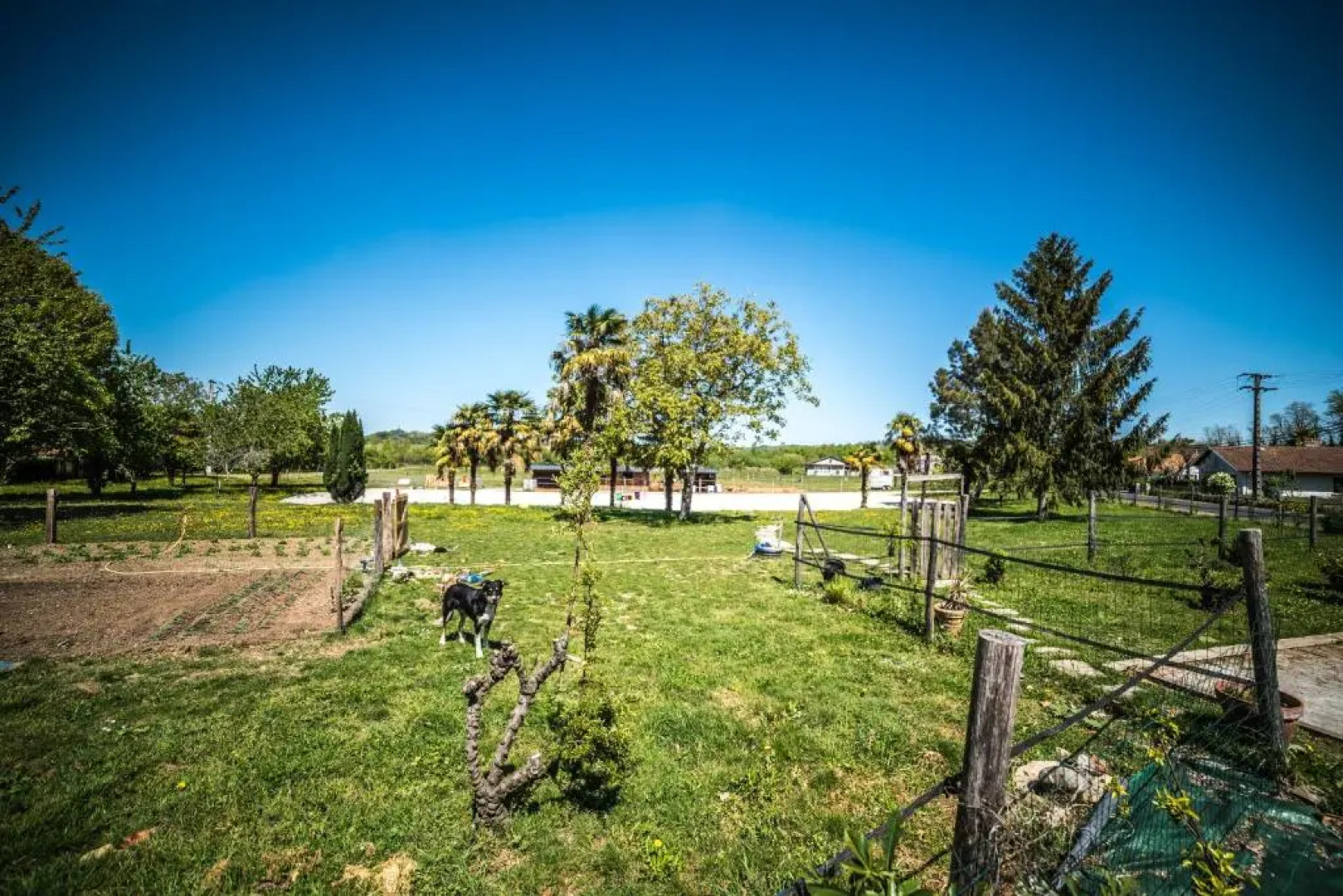 Les chambres de Lily