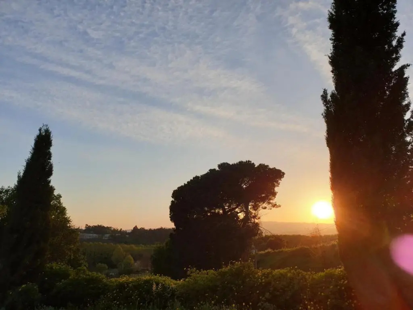 Quinta das Essencias