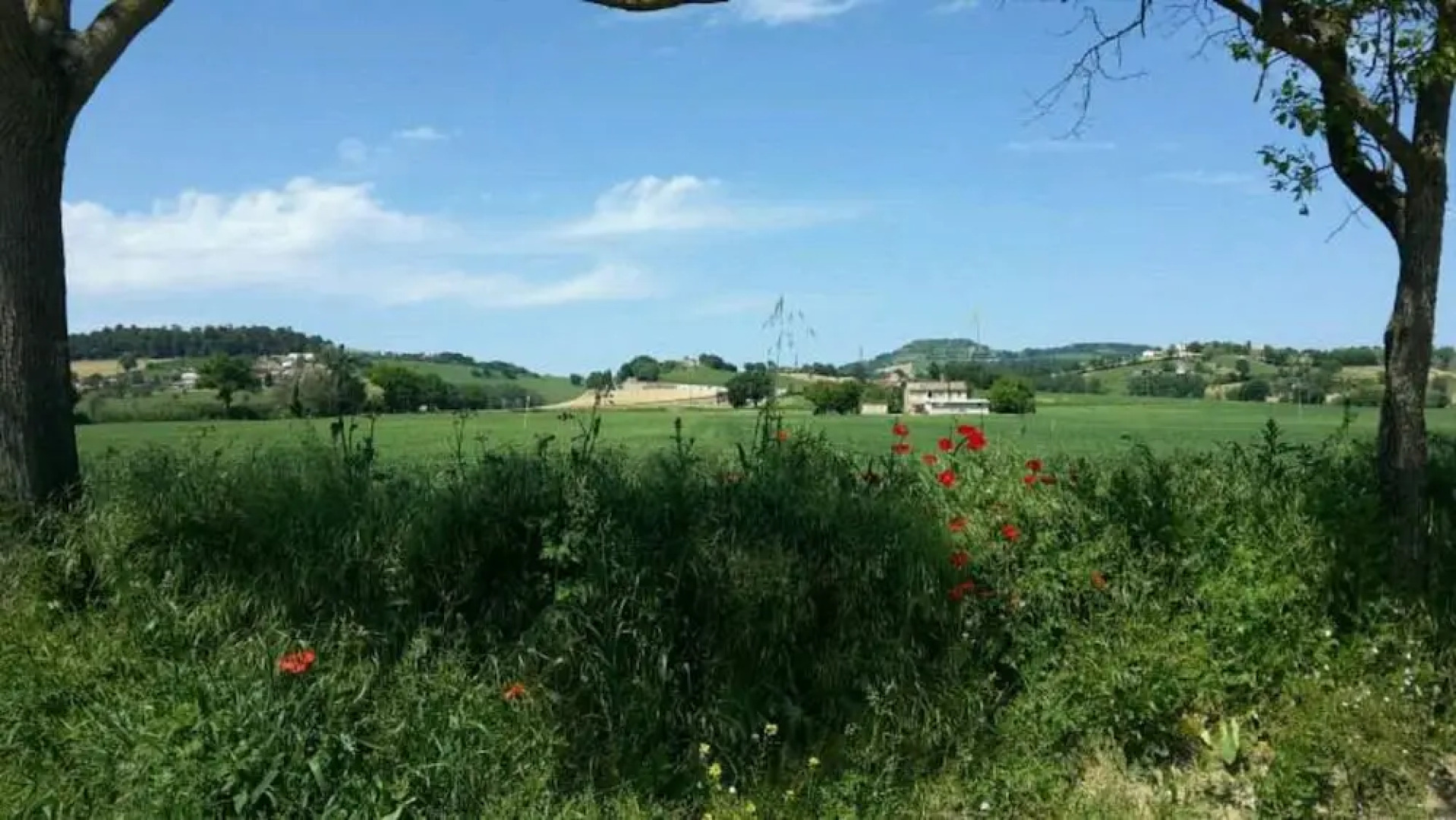 Agriturismo Azienda Agricola Alfieri