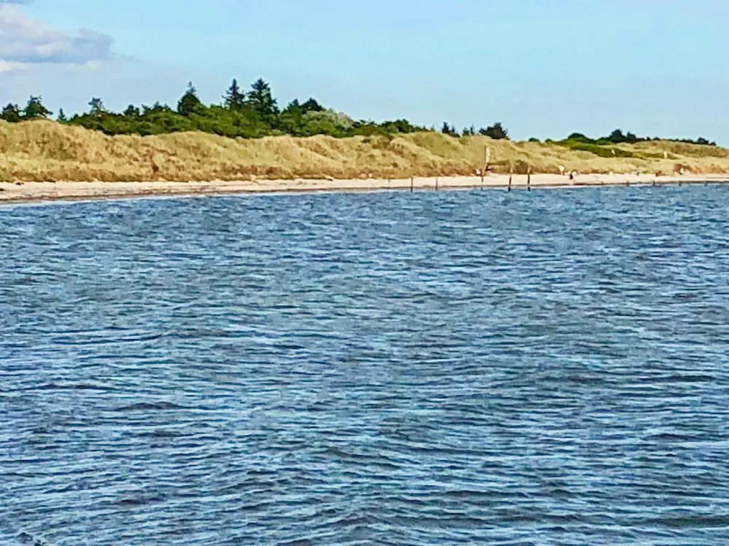 12 Person Holiday Home in Rodby