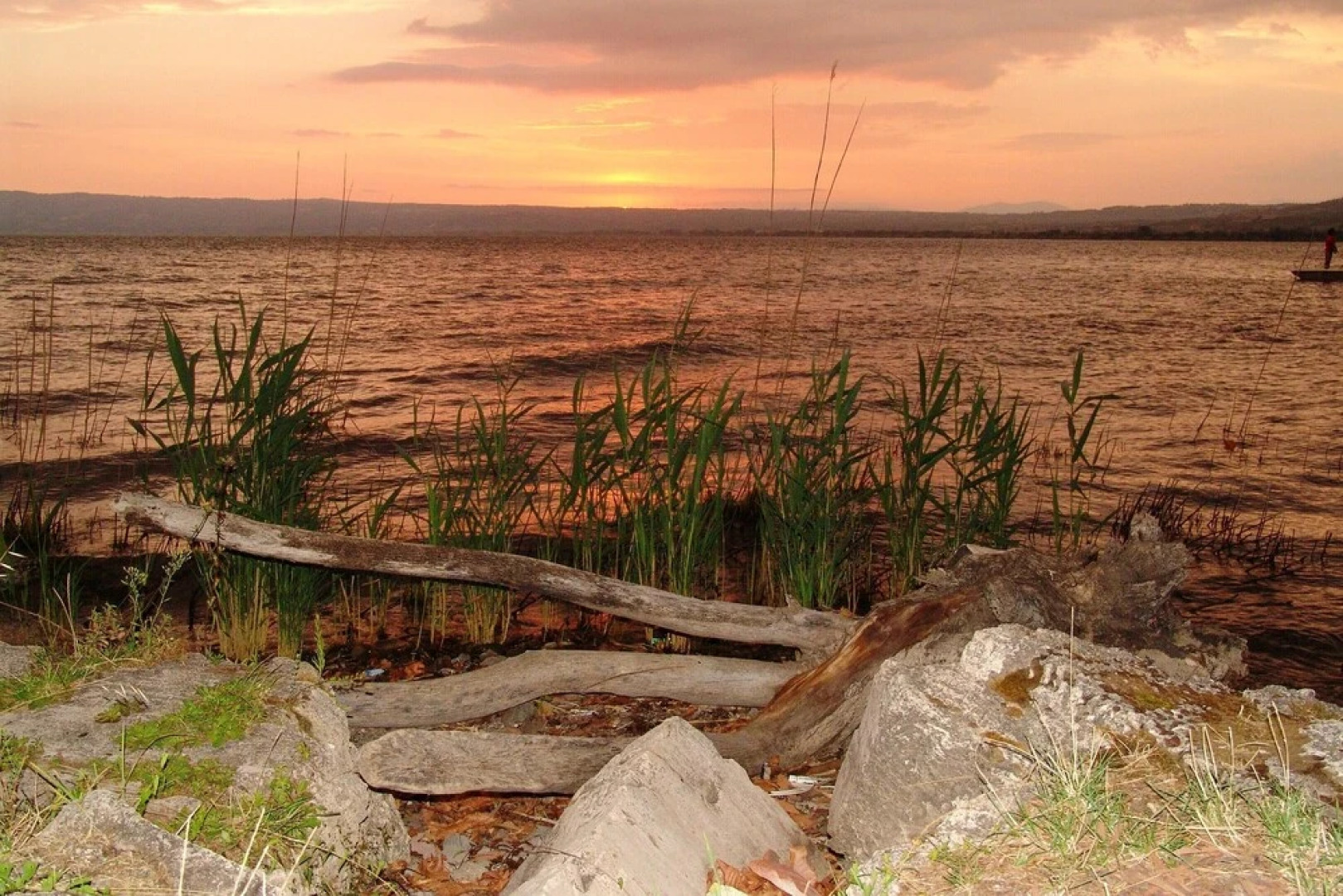 Apartment With one Bedroom in Tuscania, With Wonderful City View and Terrace - Near the Beach