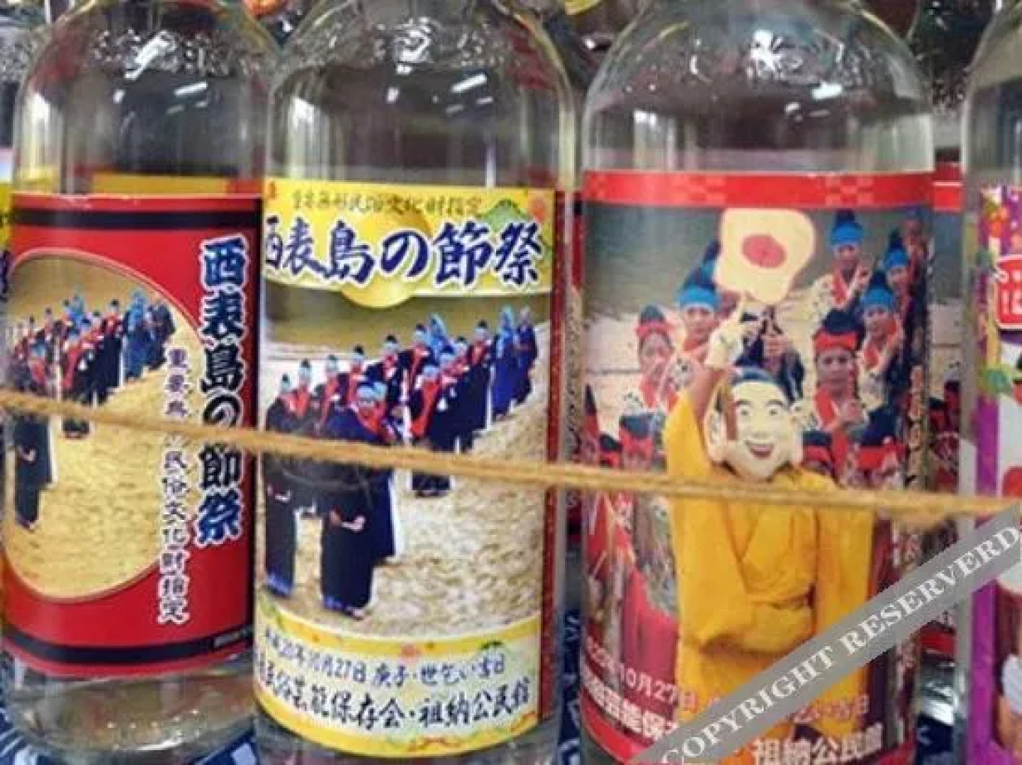 Iriomote Island Hotel