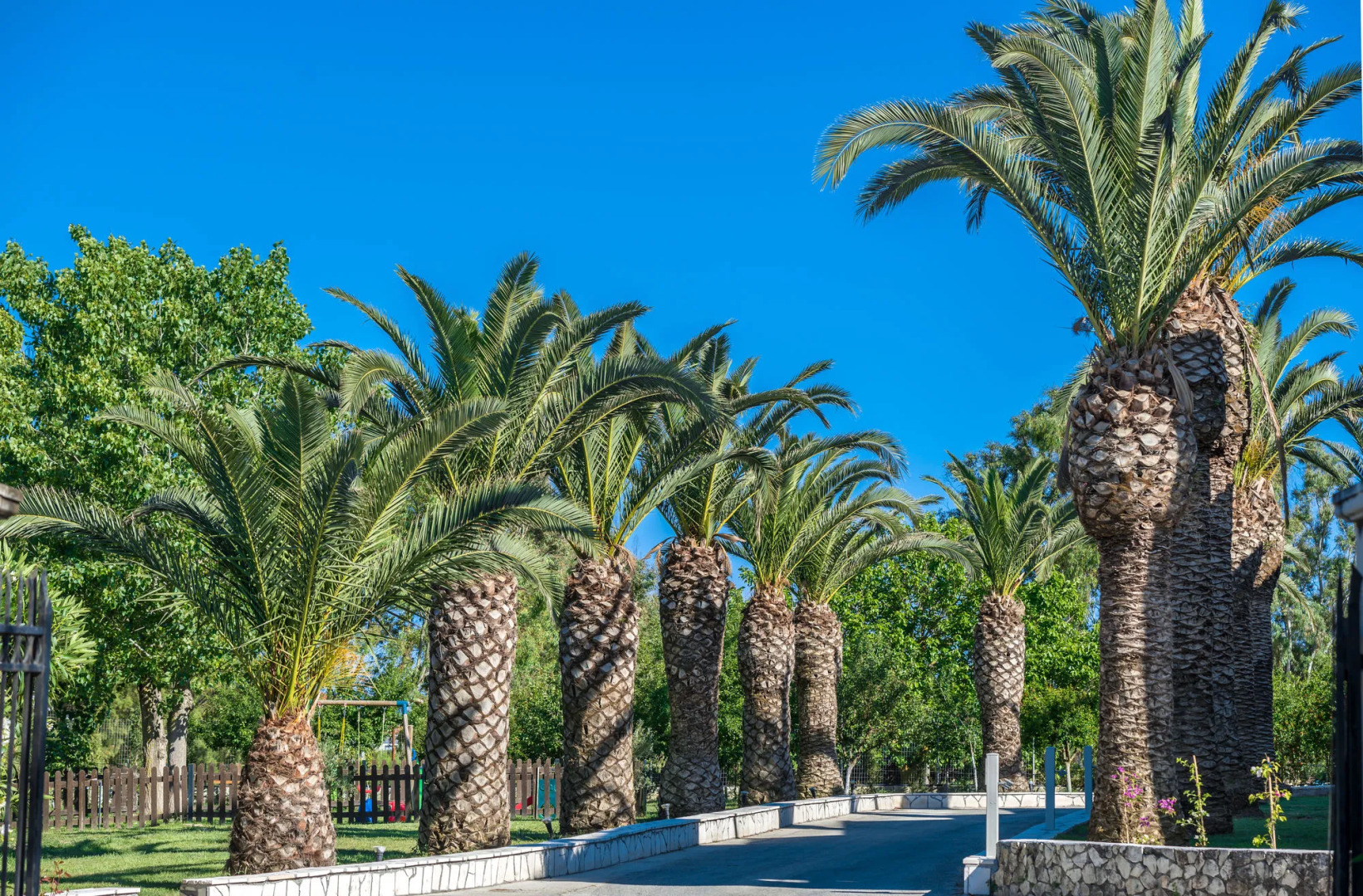 Bitzaro Palace Hotel - All inclusive