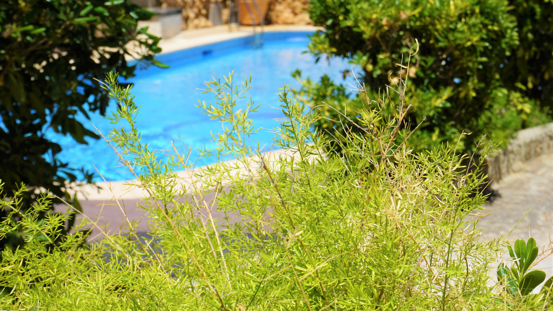 Hotel Playas del Rey