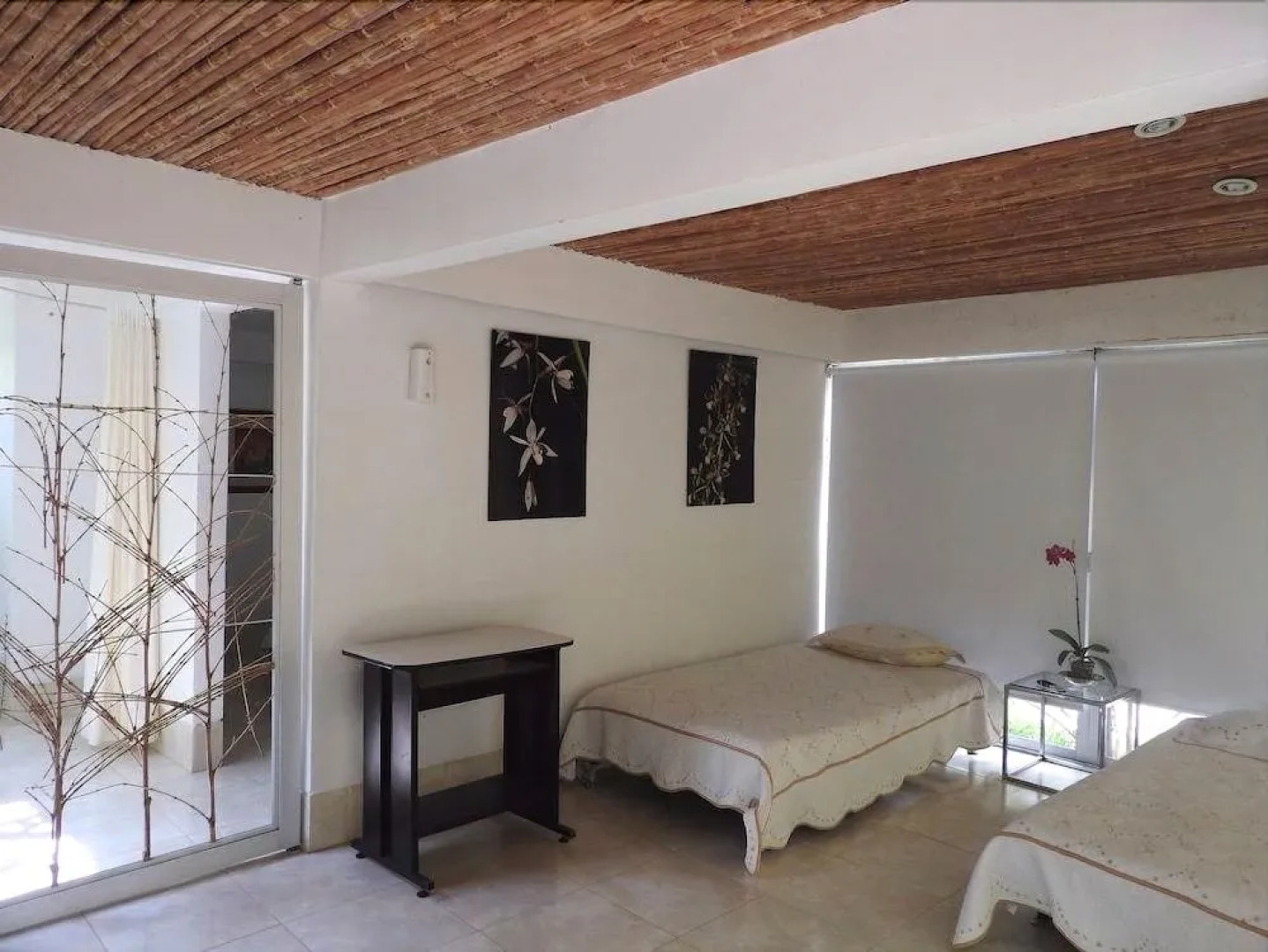 Orquideas del Tolima