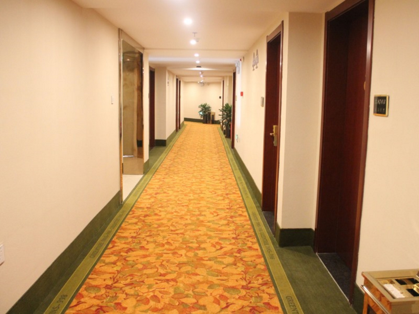 GreenTree Inn Hefei East Wangjiang Road CTCE Express Hotel