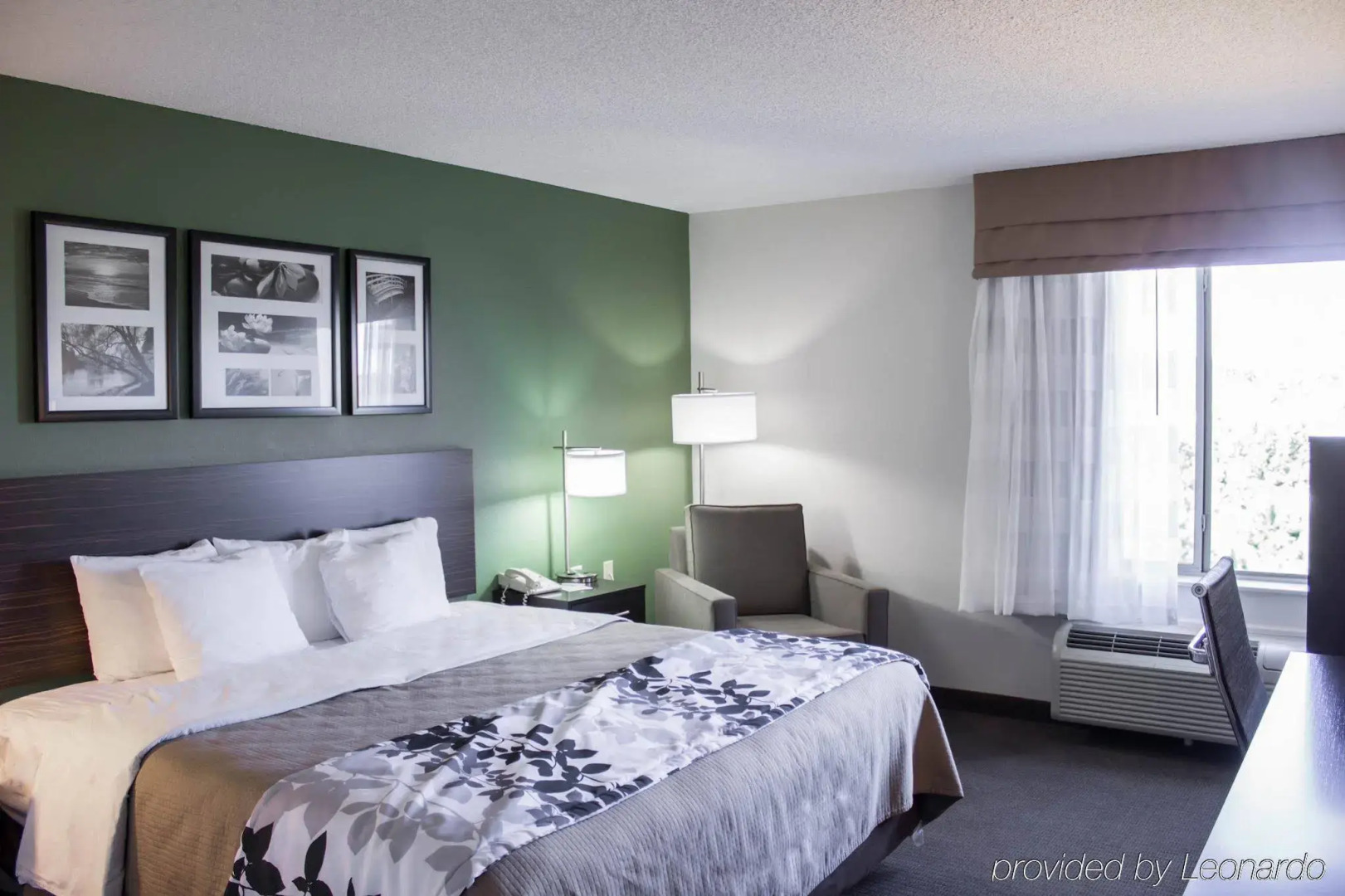 Sleep Inn & Suites Smithfield near I-95