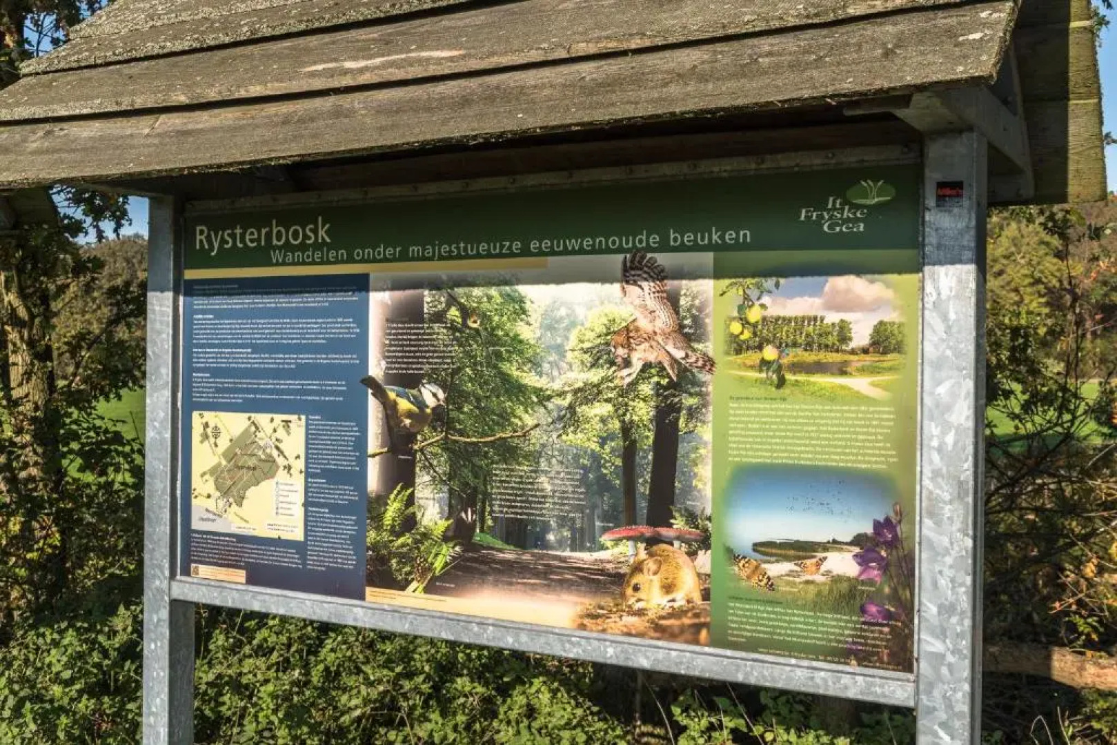 Luxe Bosvilla Aquarius