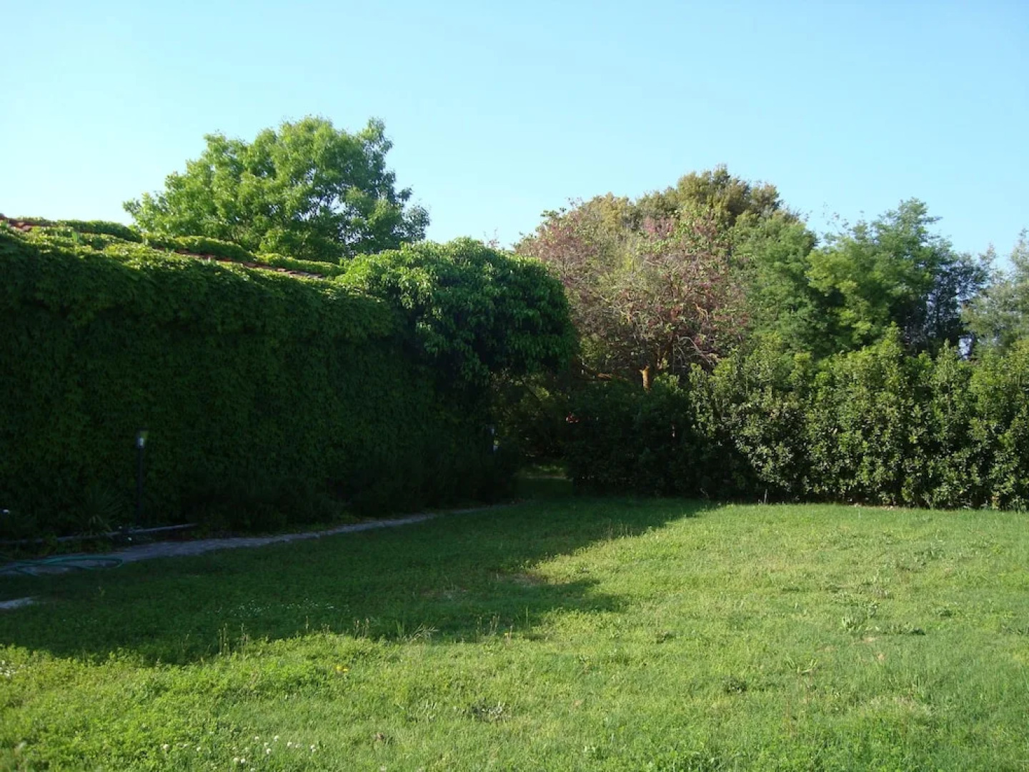 Azienda Agricola Paradiso