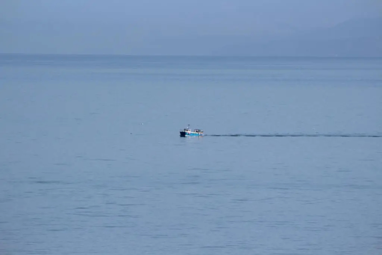 The Pod & Cwtch Luxury Accommodation