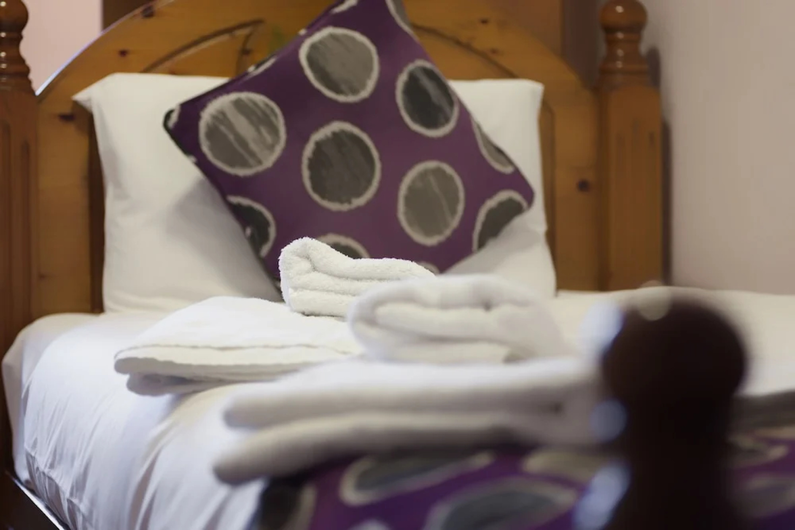 Avondale House Dublin - Guesthouse