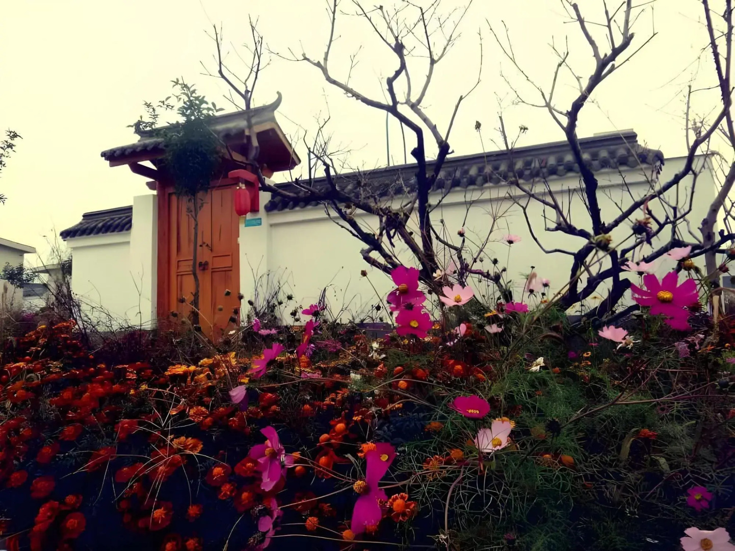 Taibai Montain Scenery Retreats