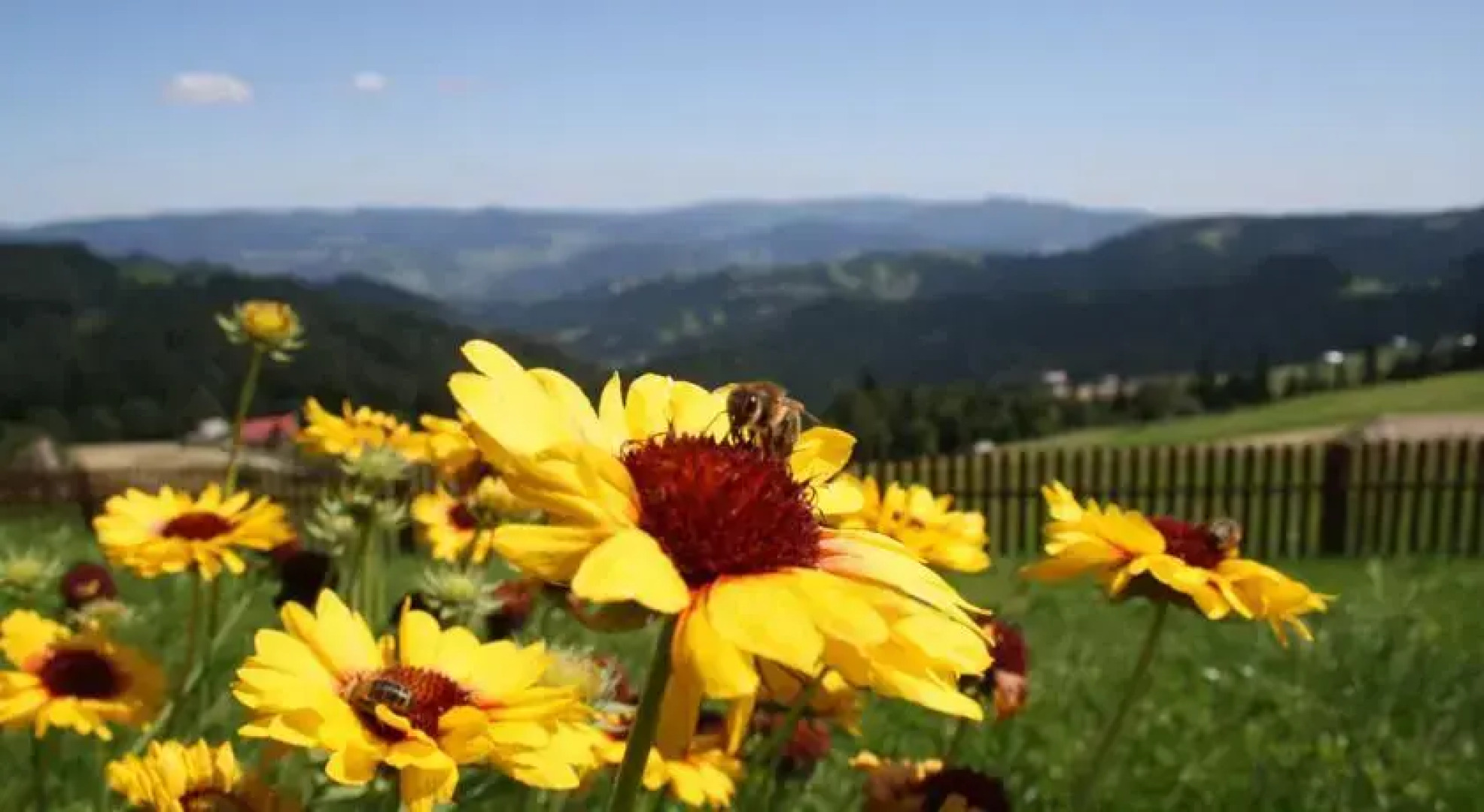 Rezydencja Leśny Dwór