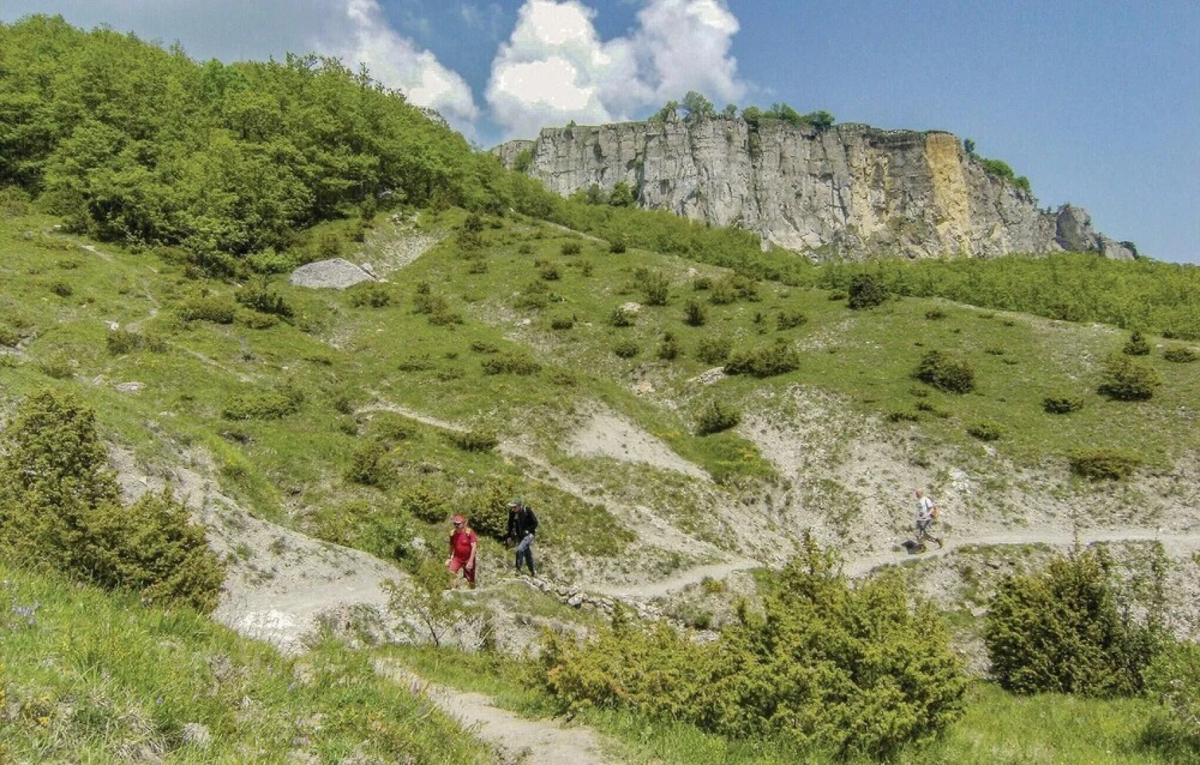 Nice Home in Badia Tedalda AR With 10 Bedrooms, Wifi and Outdoor Swimming Pool