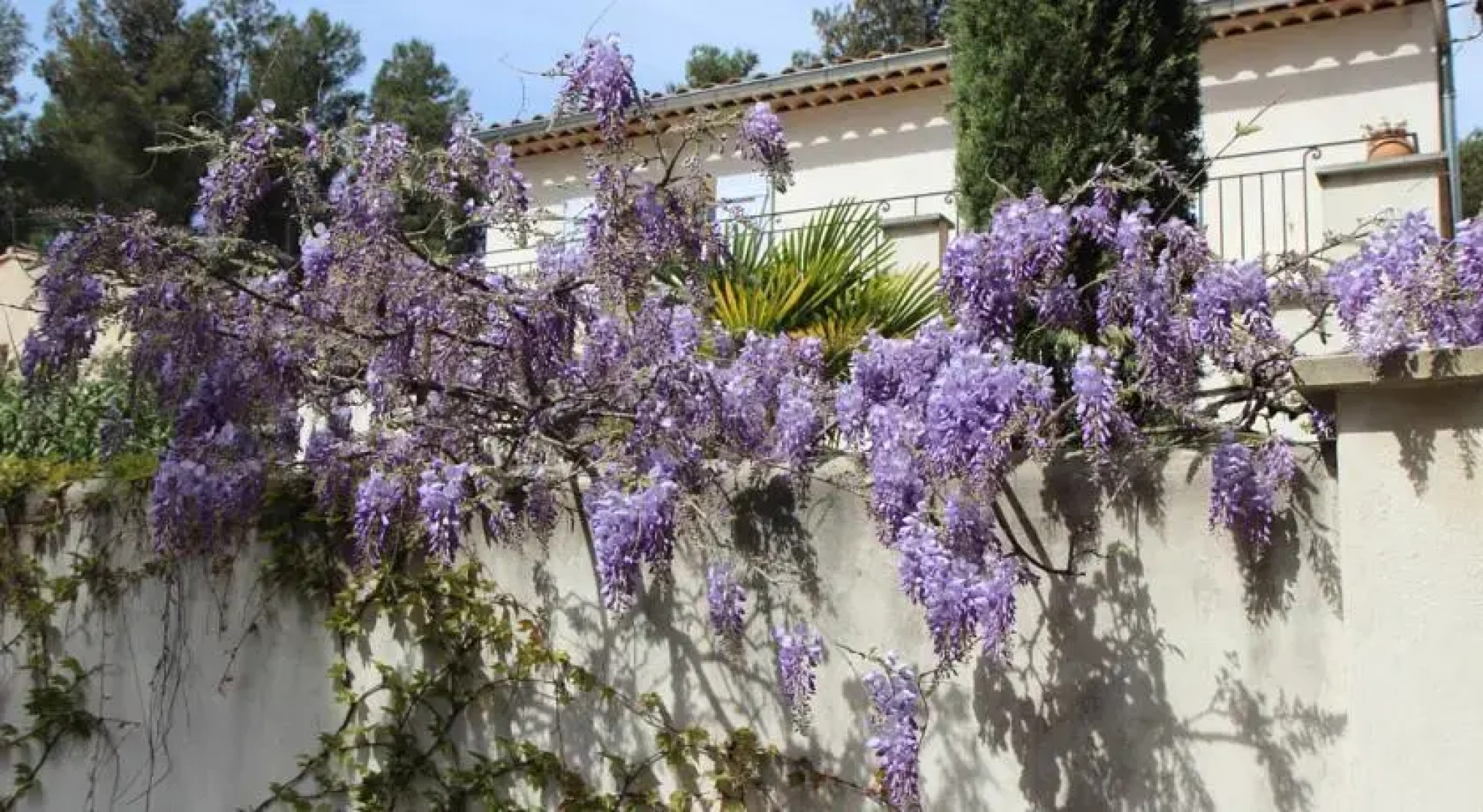 Le Domaine de lArbois