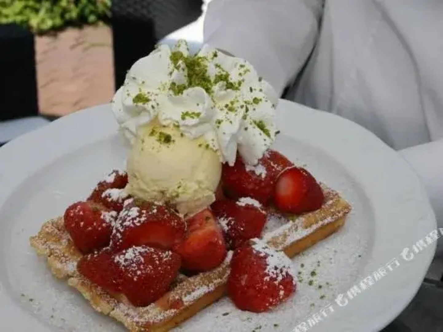 B&B Gästehaus Hallerhof