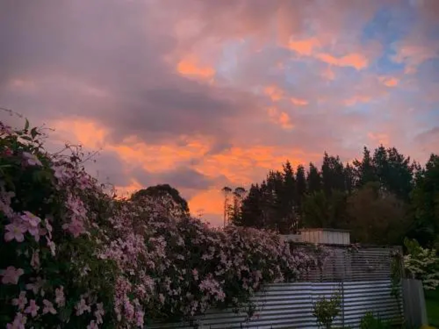 YiFan Lake View Manor In Rotorua
