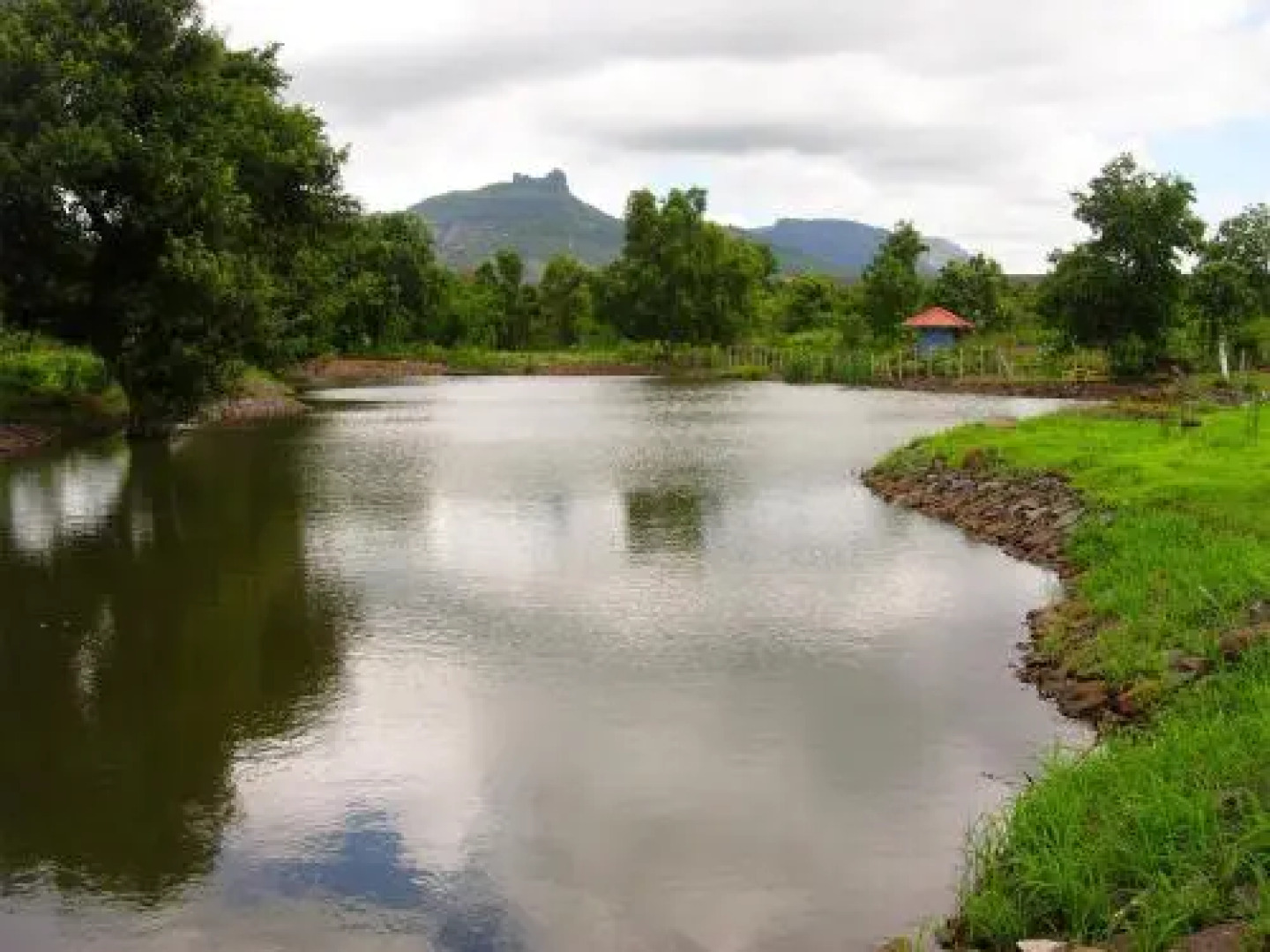 Tooth Mountain Farms