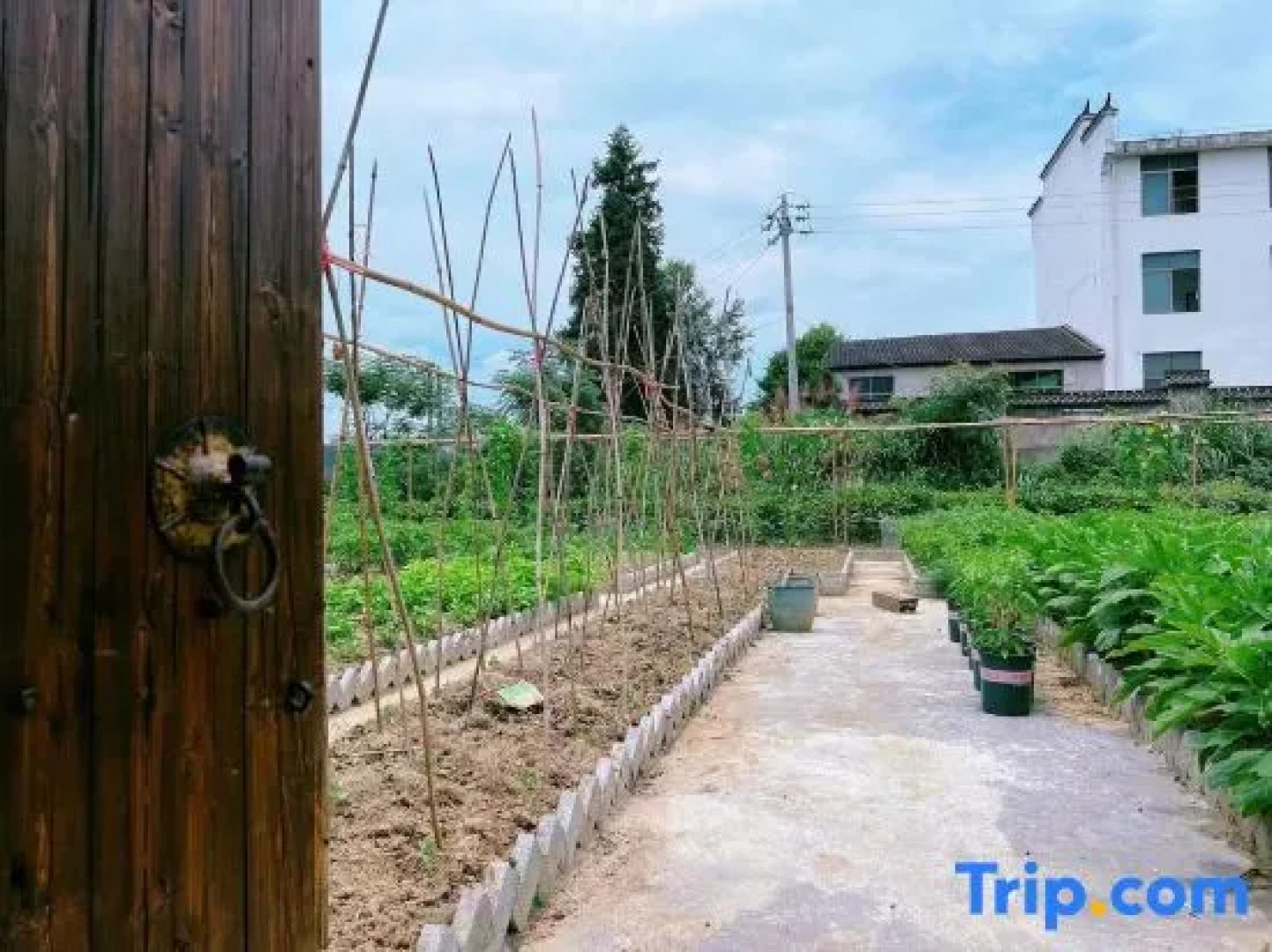 Yunshui Yishe Hostel