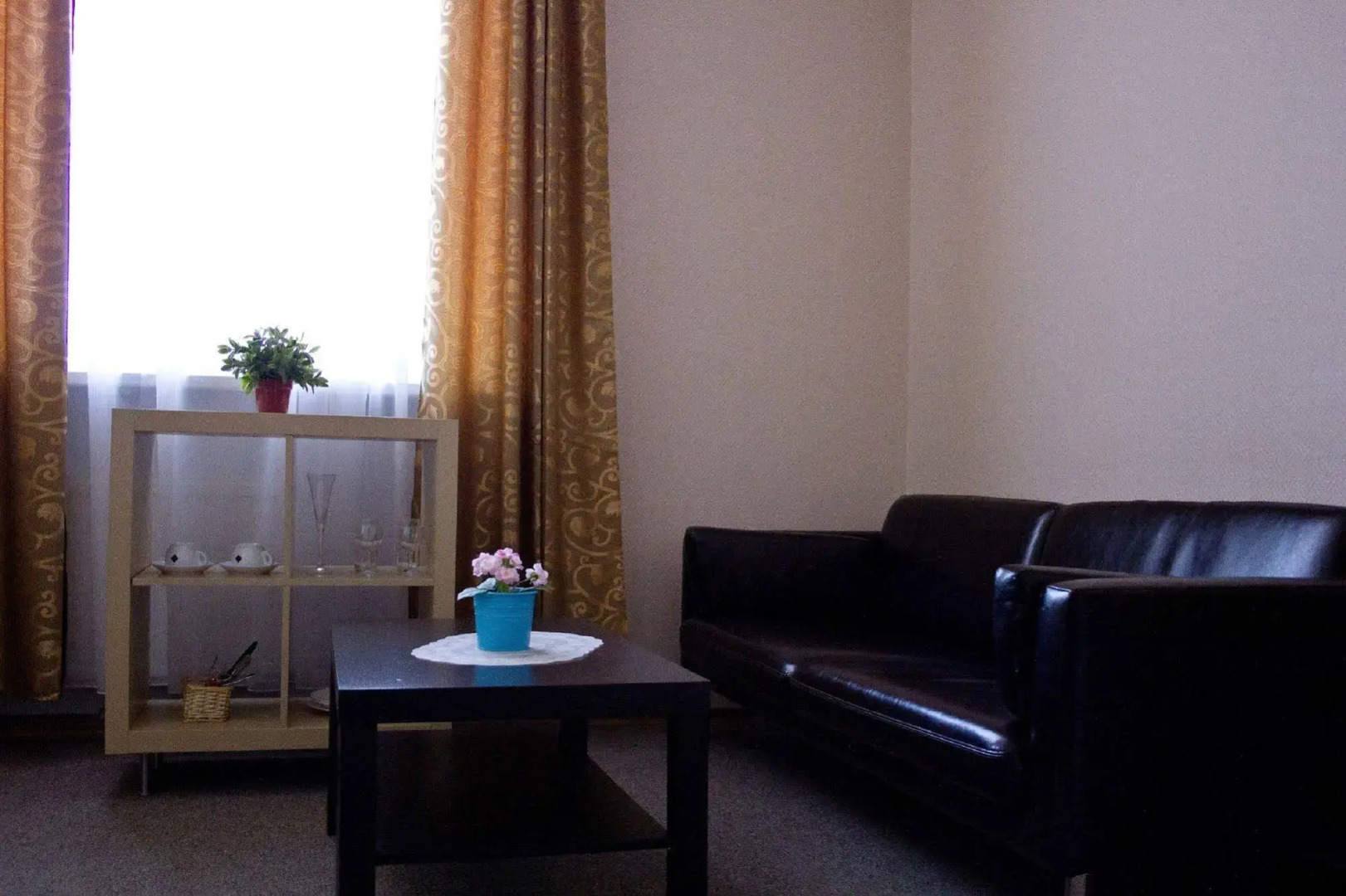 Отель Лебедушка на Энгельса