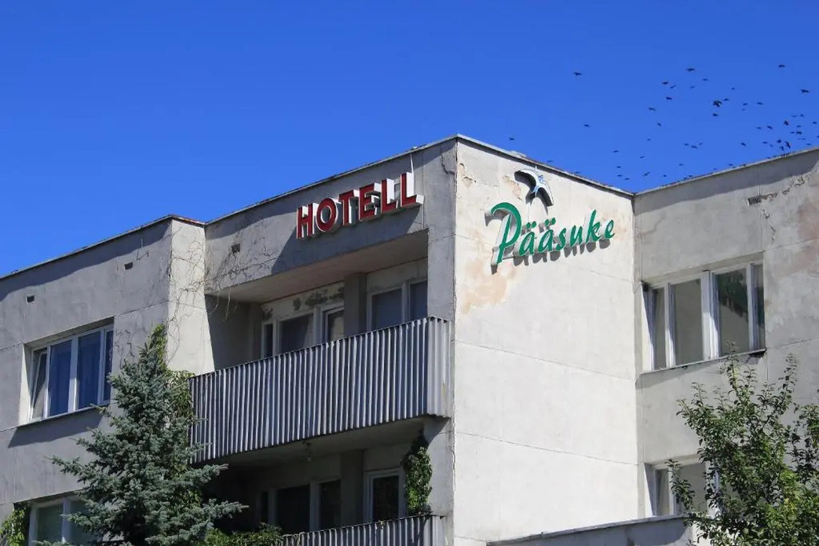 Hotell Pääsuke