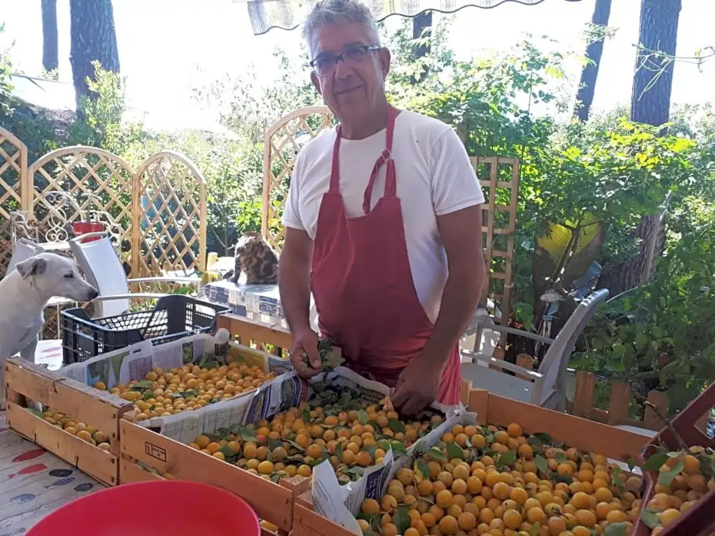 Le Relais de la Praya