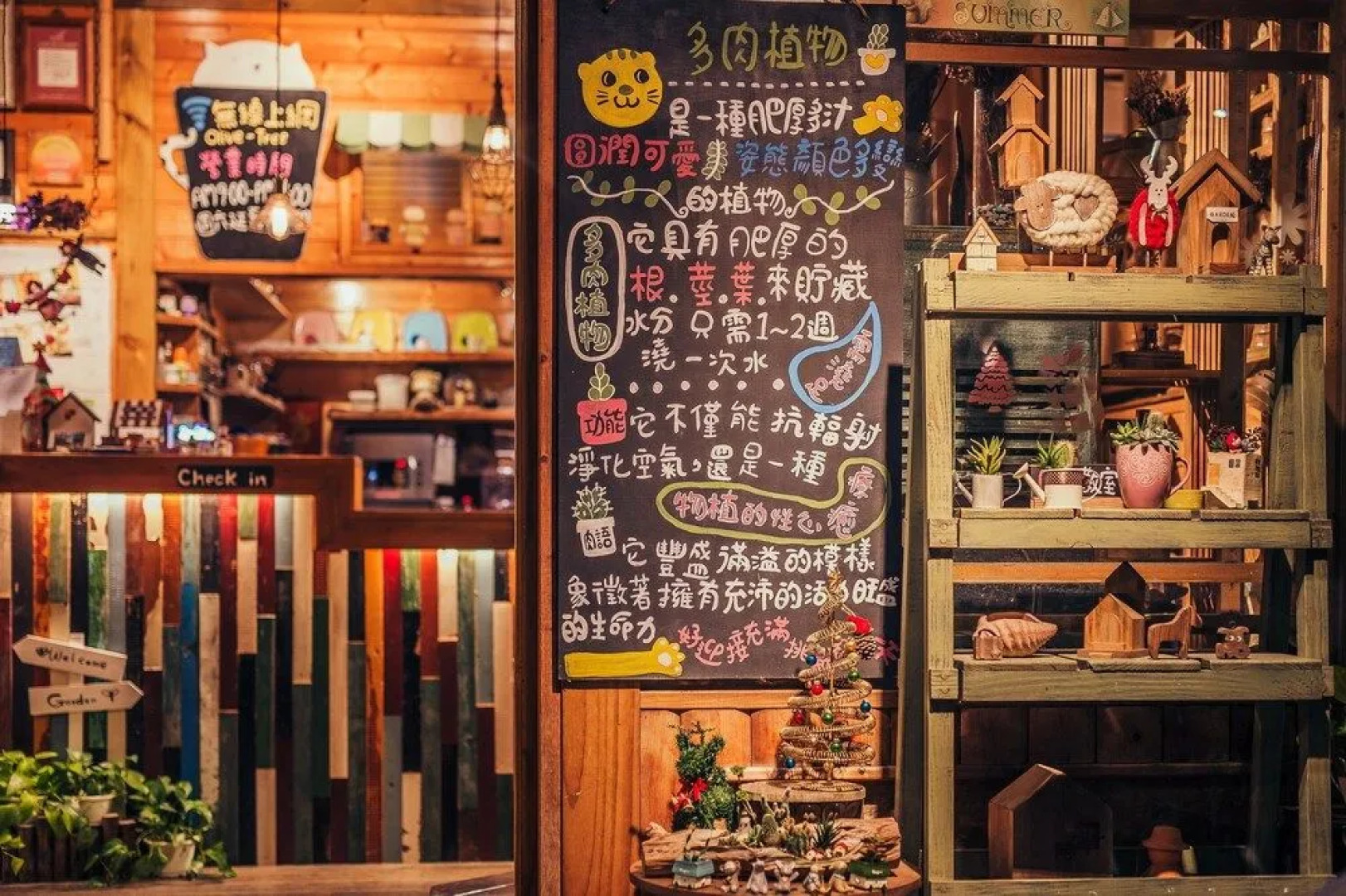 Nanzhuang Olive Tree