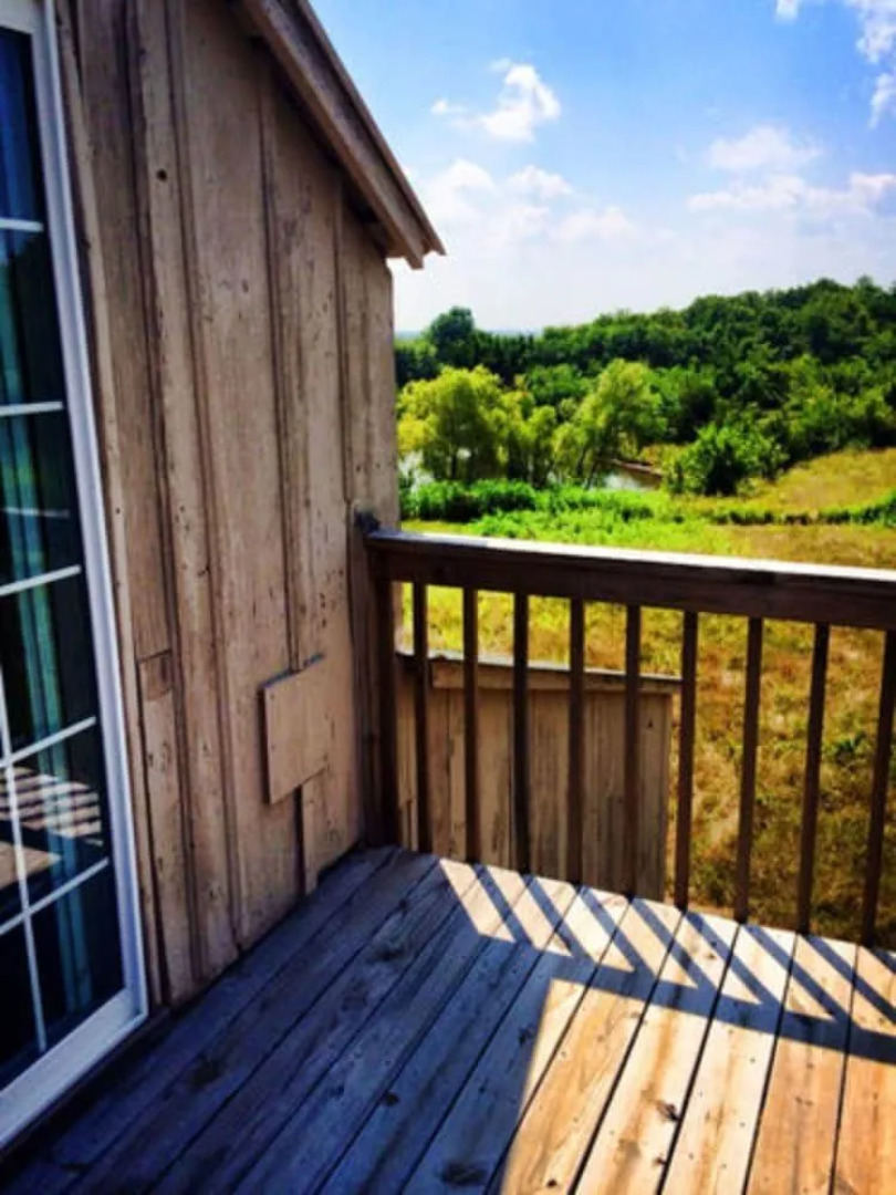 Netherfield Natural Farm