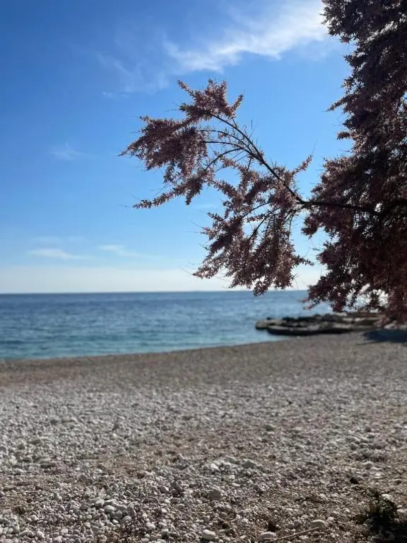 Beach Stay Apartment Ivon