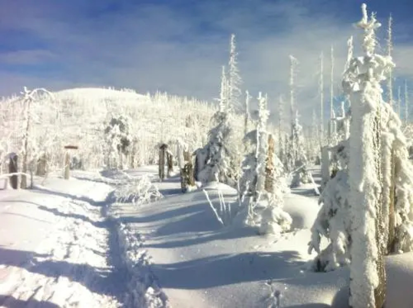 Bayernstern - Ihr Wander- & Wohlfühlhotel
