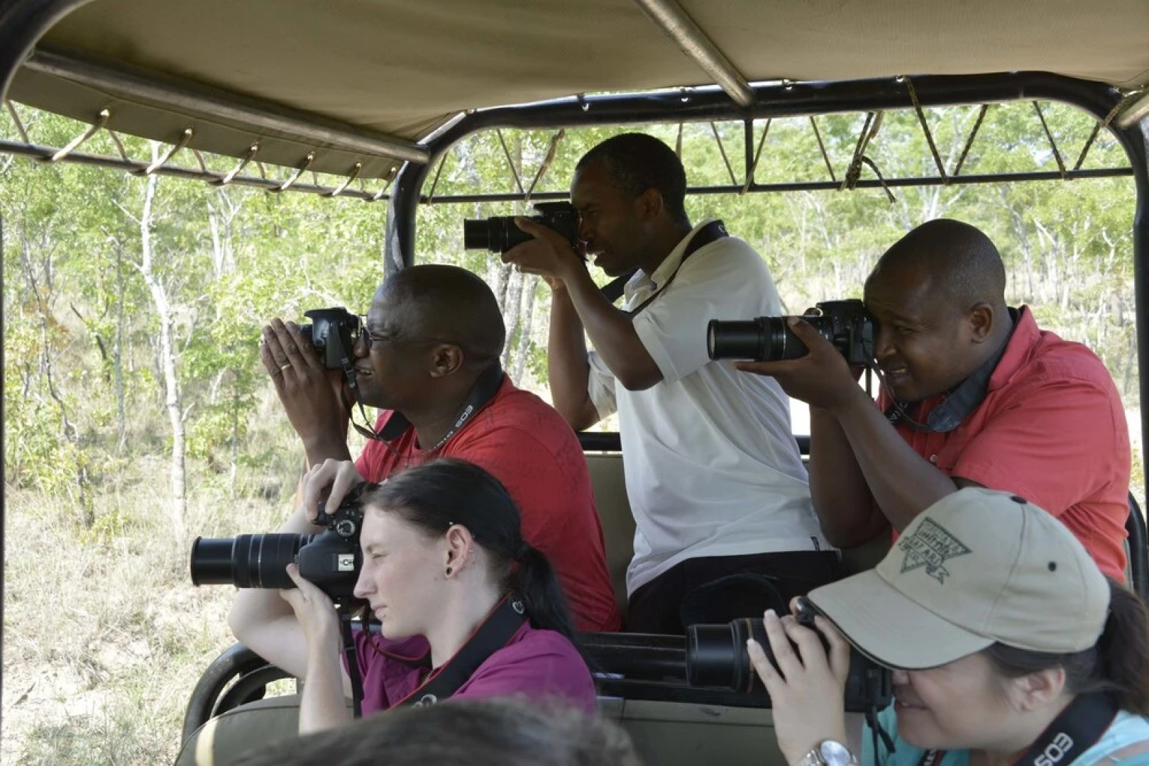 Bushman Rock Safaris