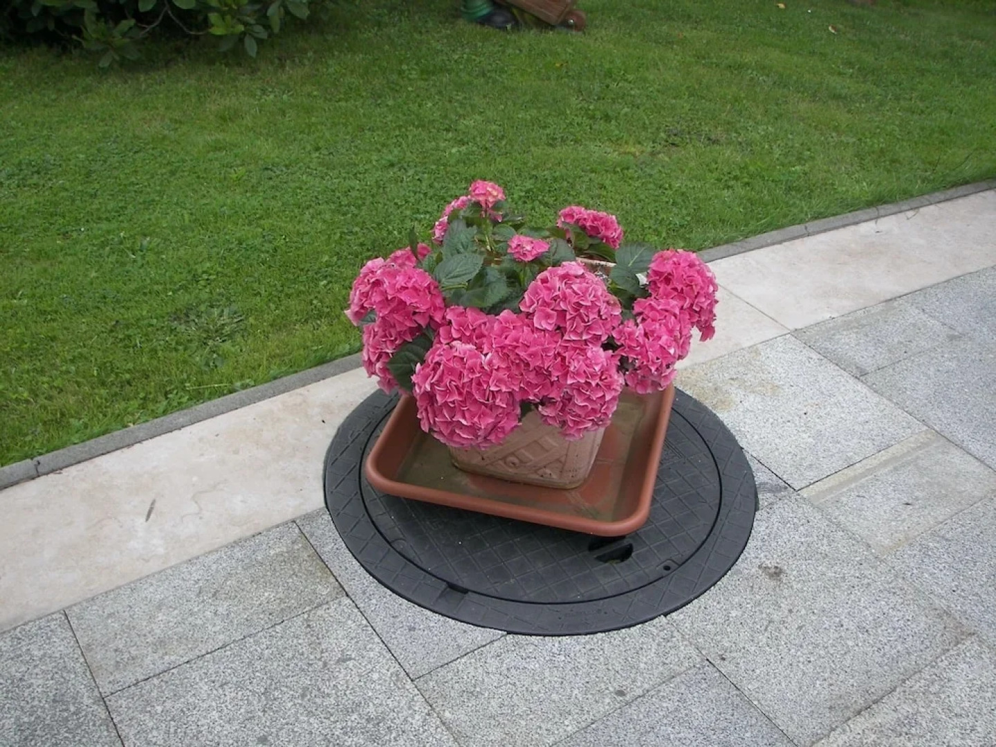 Gruppenausflug Nach Sebnitz