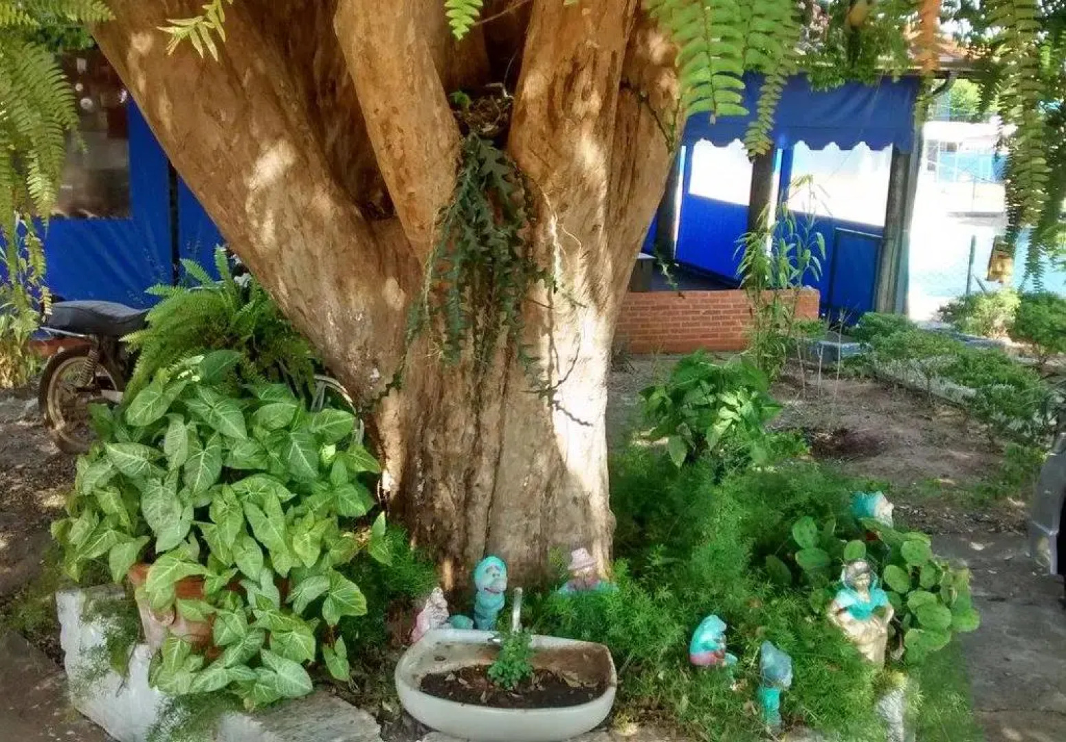 pousada charme samambaia