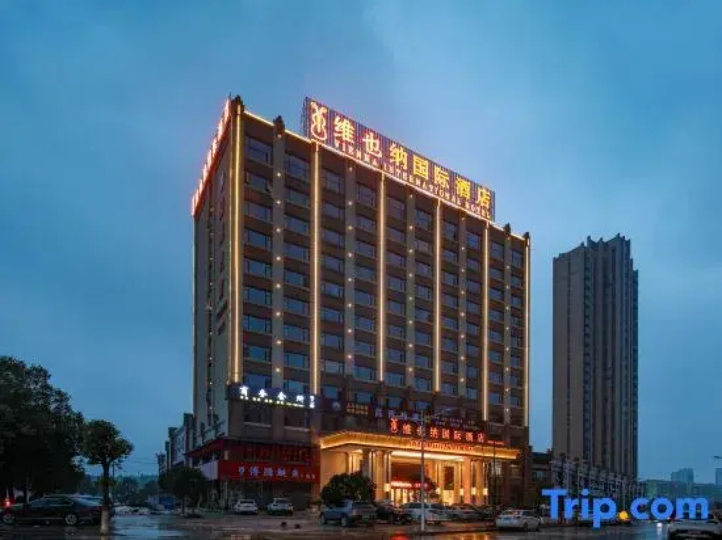 Vienna International Hotel (Yueyang South Station)