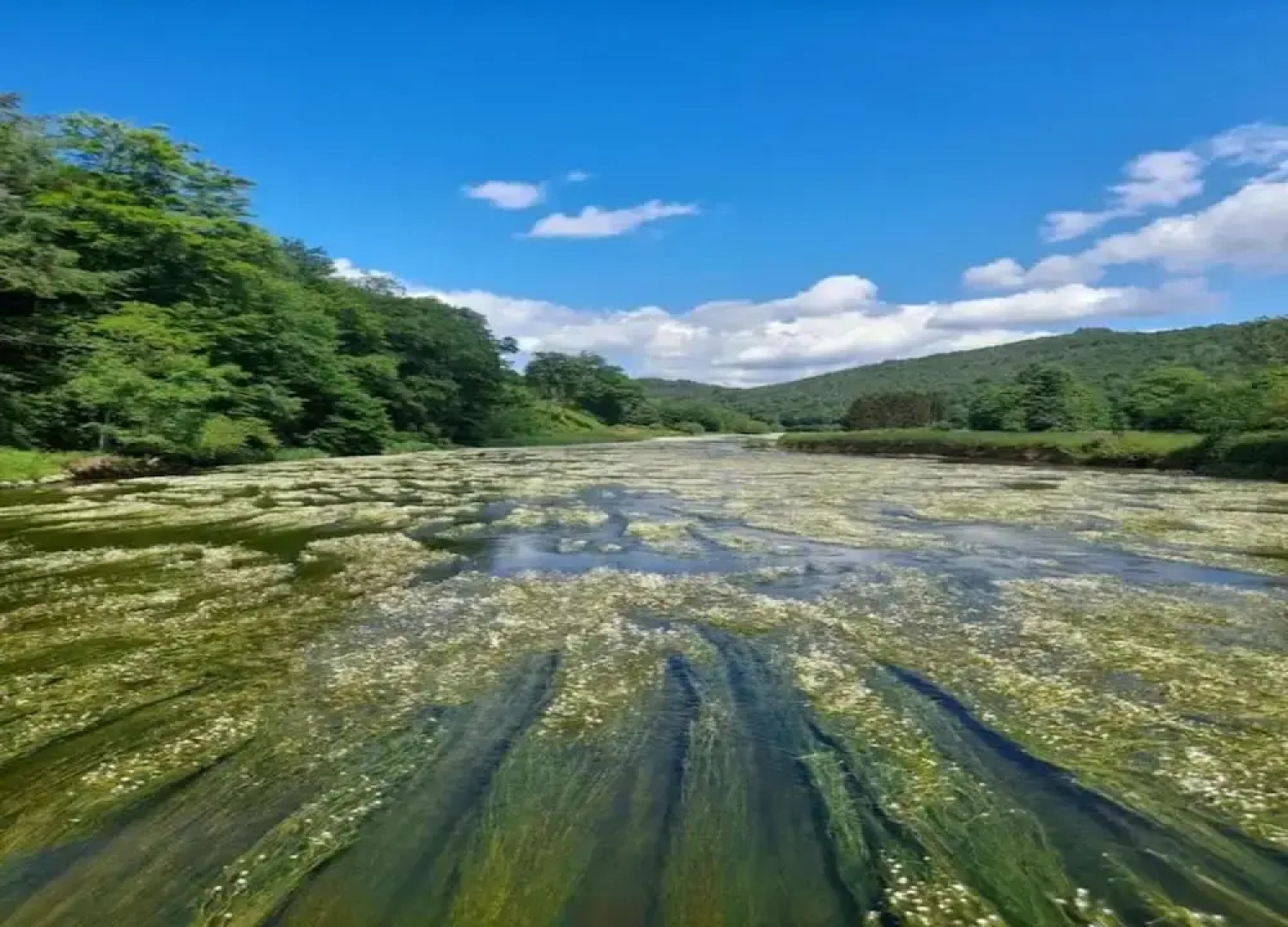 Capacious Holiday Home in Membre With Garden